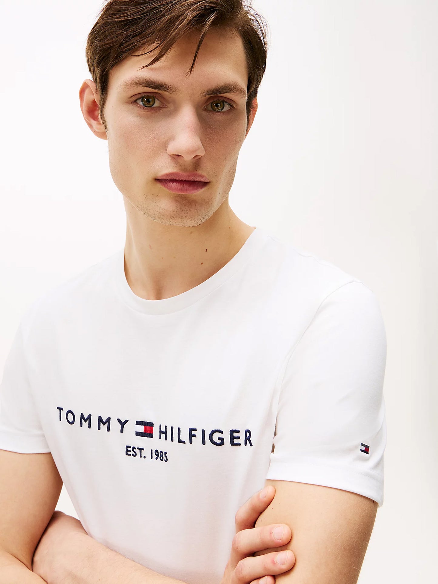 Ανδρικό t-shirt TOMMY LOGO TEE MW0MW11465118 | MW0MW11465118