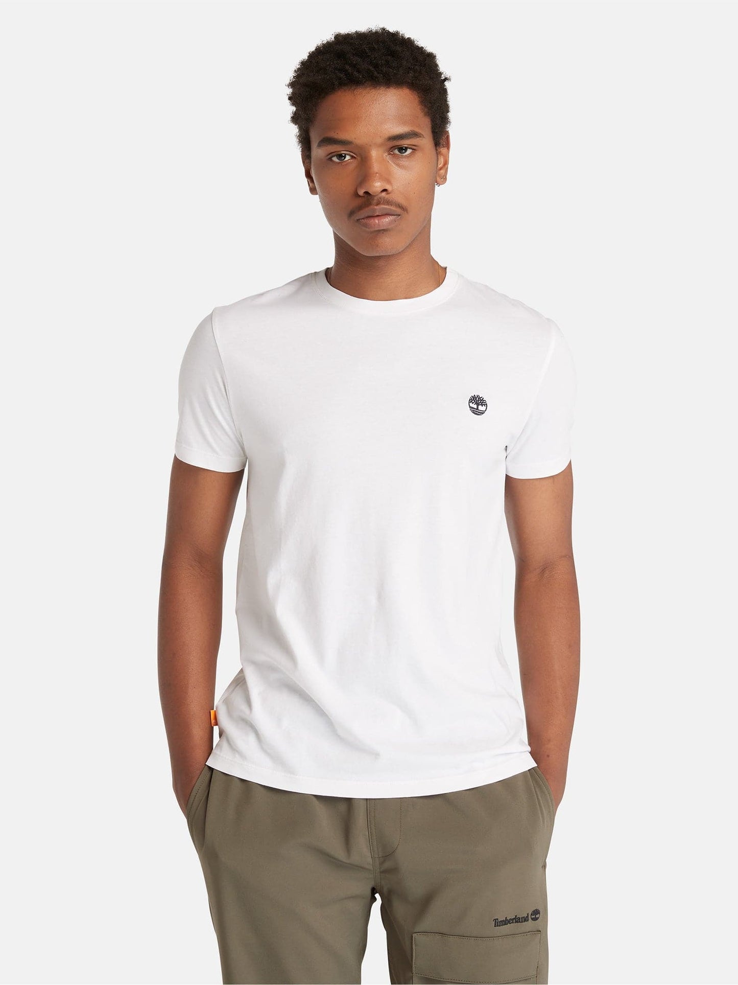 Ανδρικό t-shirt SS Dunstan River Jersey Crew Tee Slim TB0A2BPR100 | TB0A2BPR100