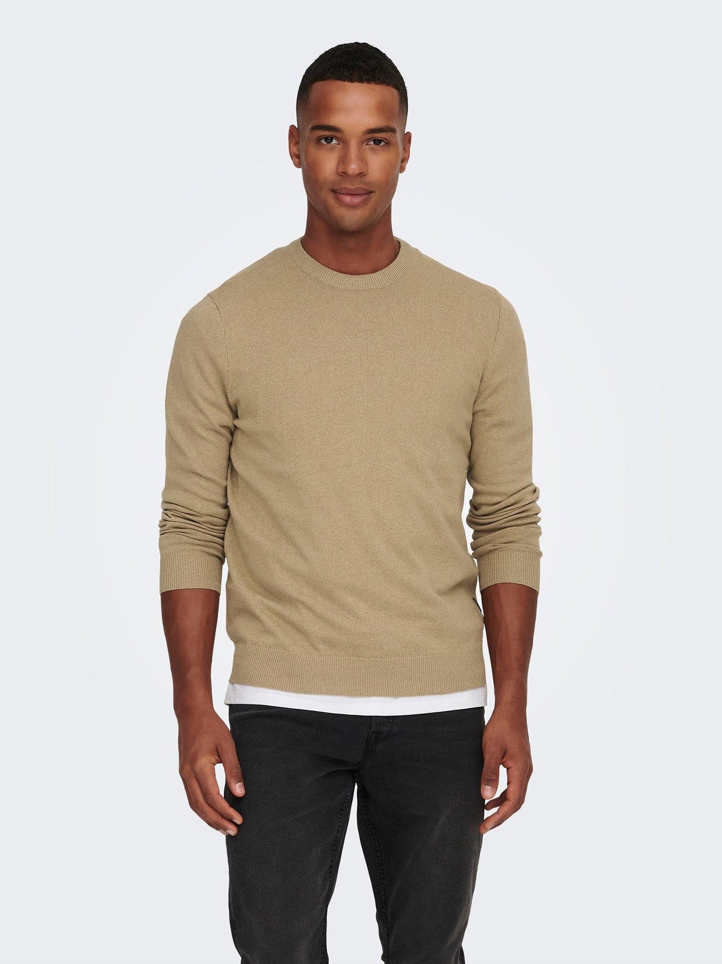 Ανδρική μπλούζα πλεκτή ONSREX LIFE REG 12 CREW KNIT 22024080 | 22024080