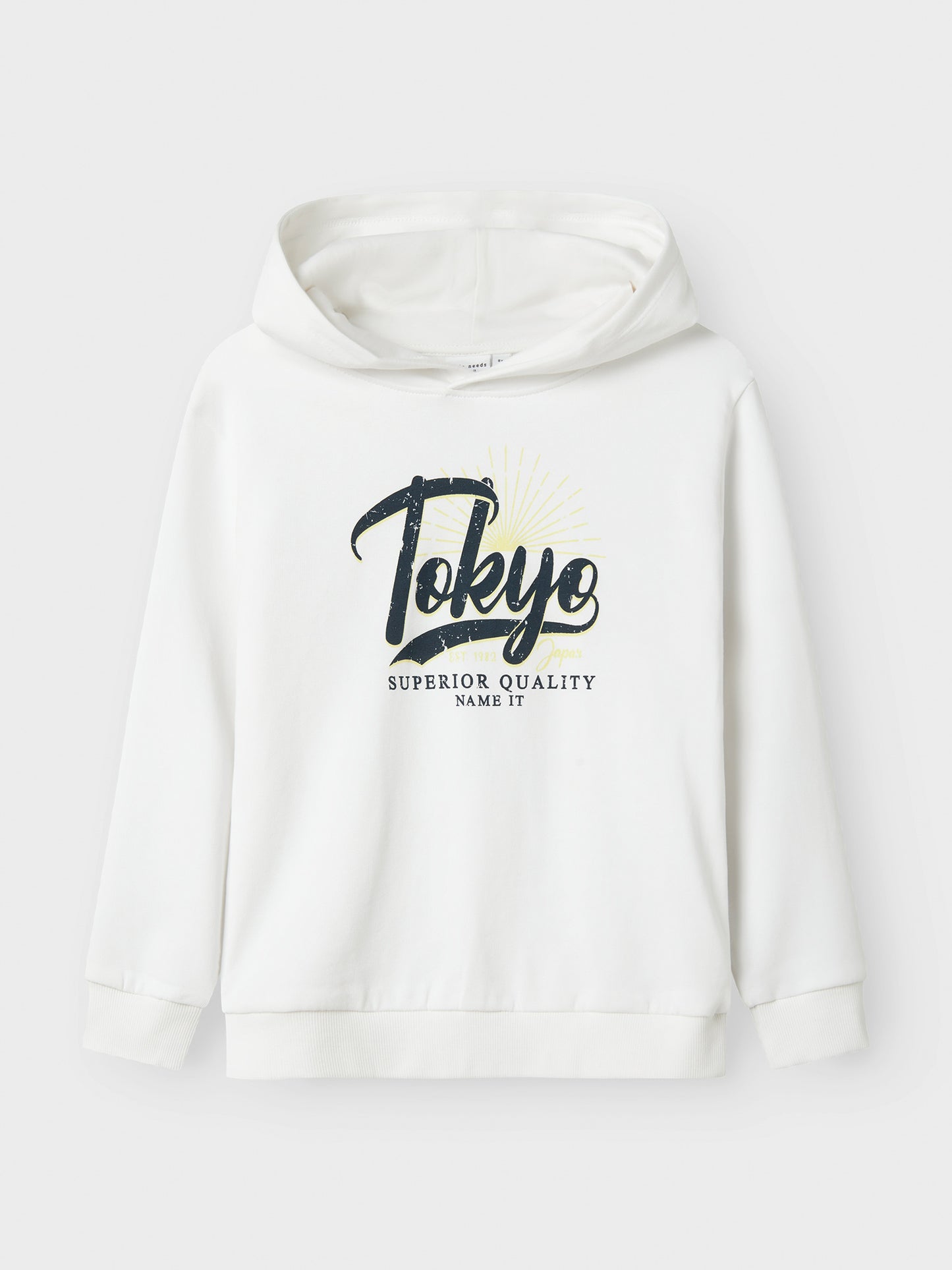 Εφηβική μπλούζα φούτερ NKMVIANTON LS NREG SWEAT WH BRU 13243086 | 13243086