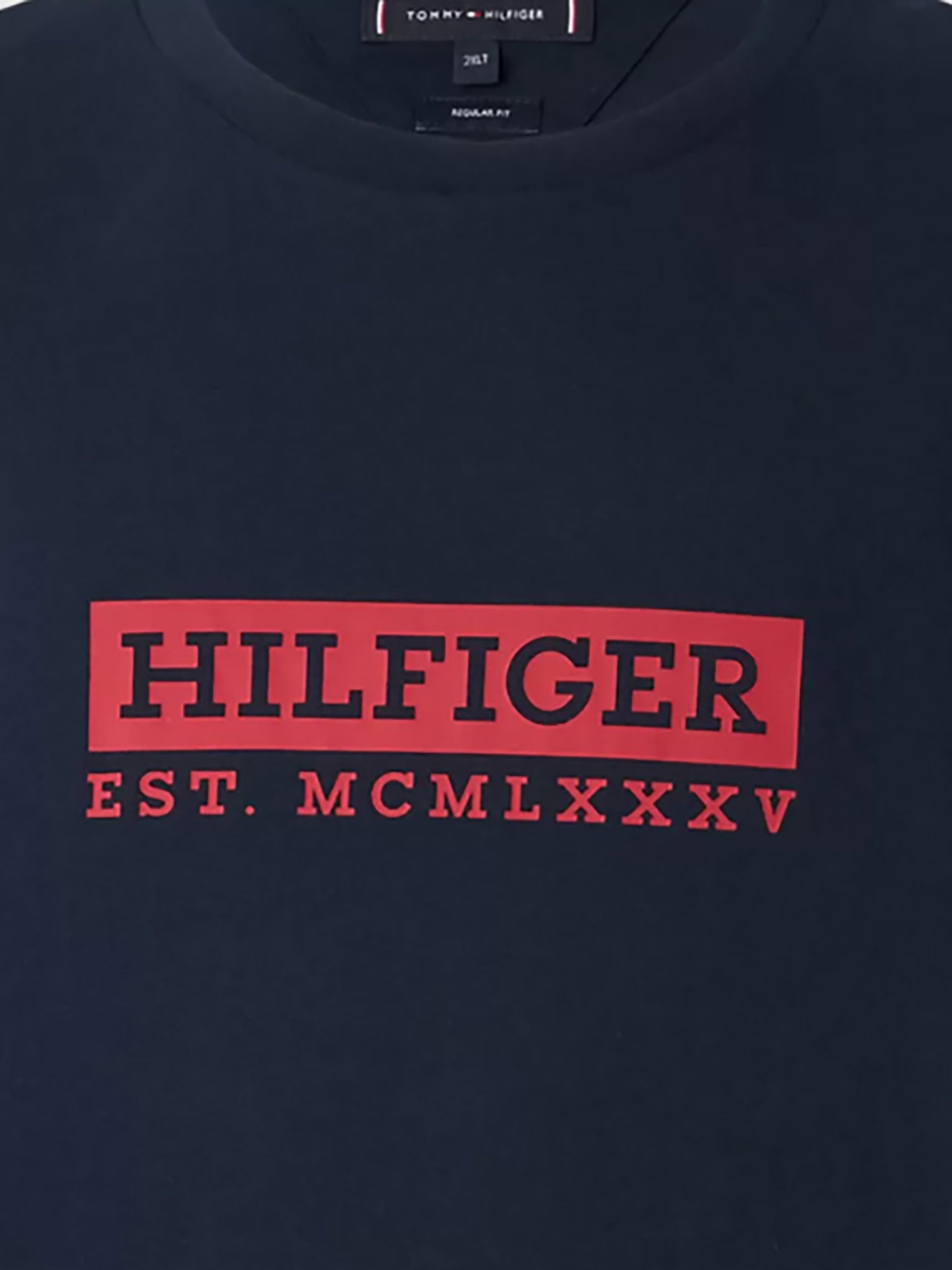 Ανδρικό t-shirt COLOUR TO COLOUR GRAPHIC TEE MW0MW39149DW5 | MW0MW39149DW5