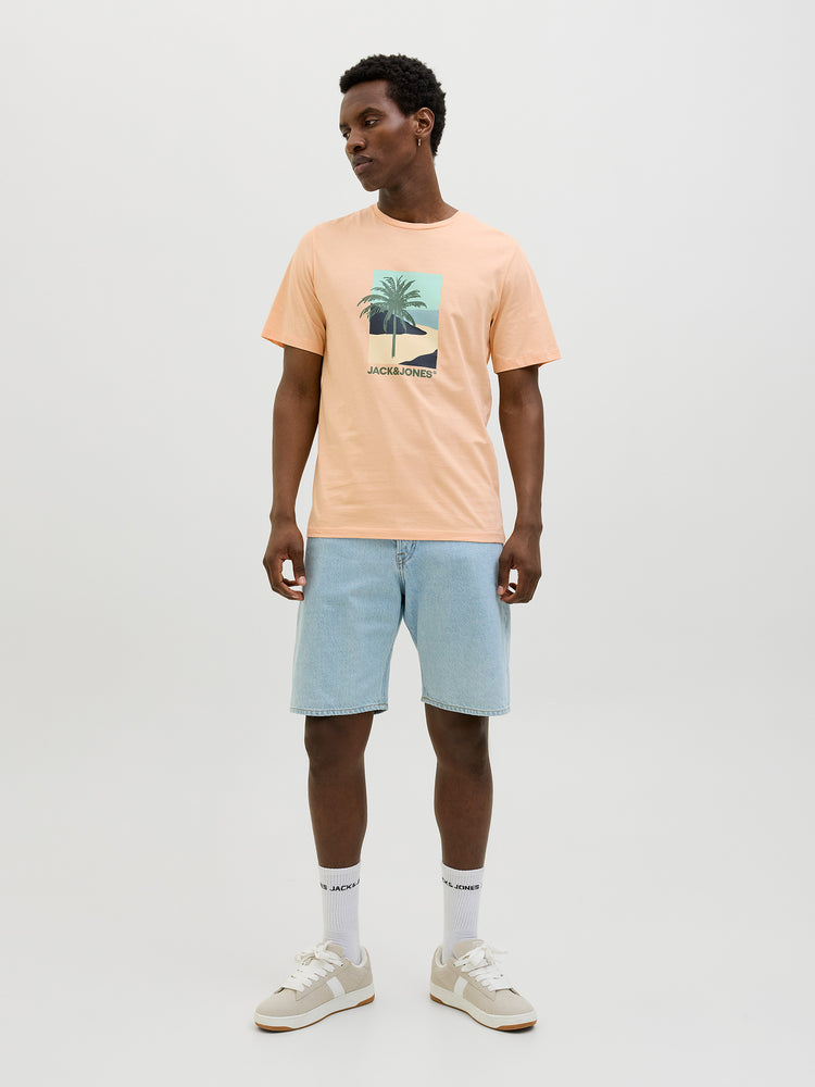 Ανδρικό t-shirt JJBARBADOS TEE SS CREW NECK 12269416 | 12269416