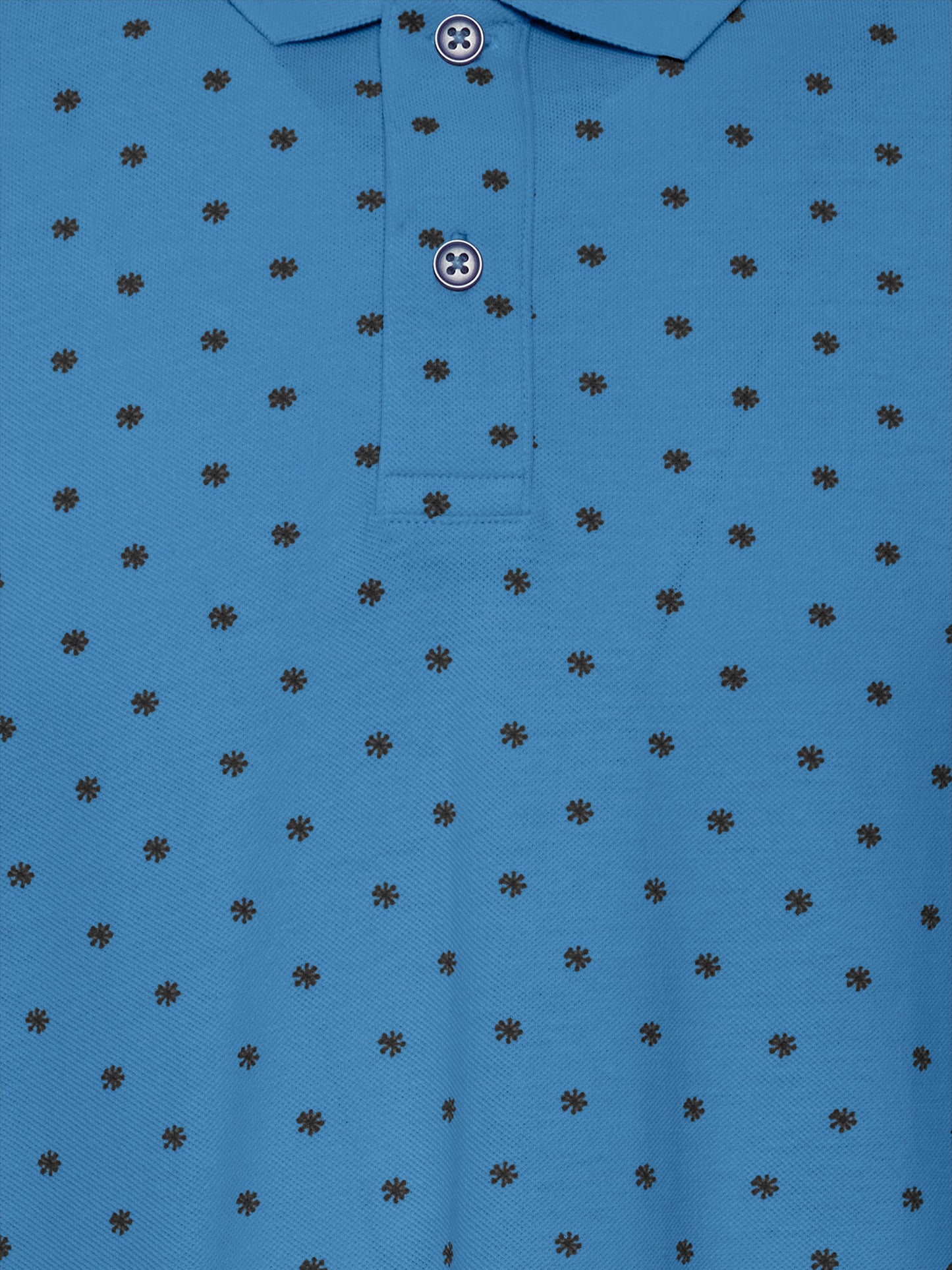 10252994-563_5.jpg