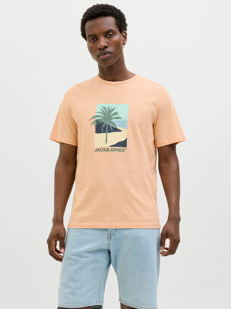 Ανδρικό t-shirt JJBARBADOS TEE SS CREW NECK 12269416 | 12269416