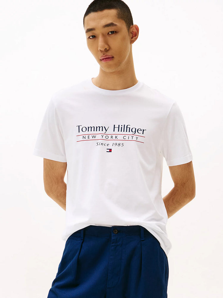 Ανδρικό t-shirt HILFIGER CENTER STACK TEE MW0MW38621YBR | MW0MW38621YBR