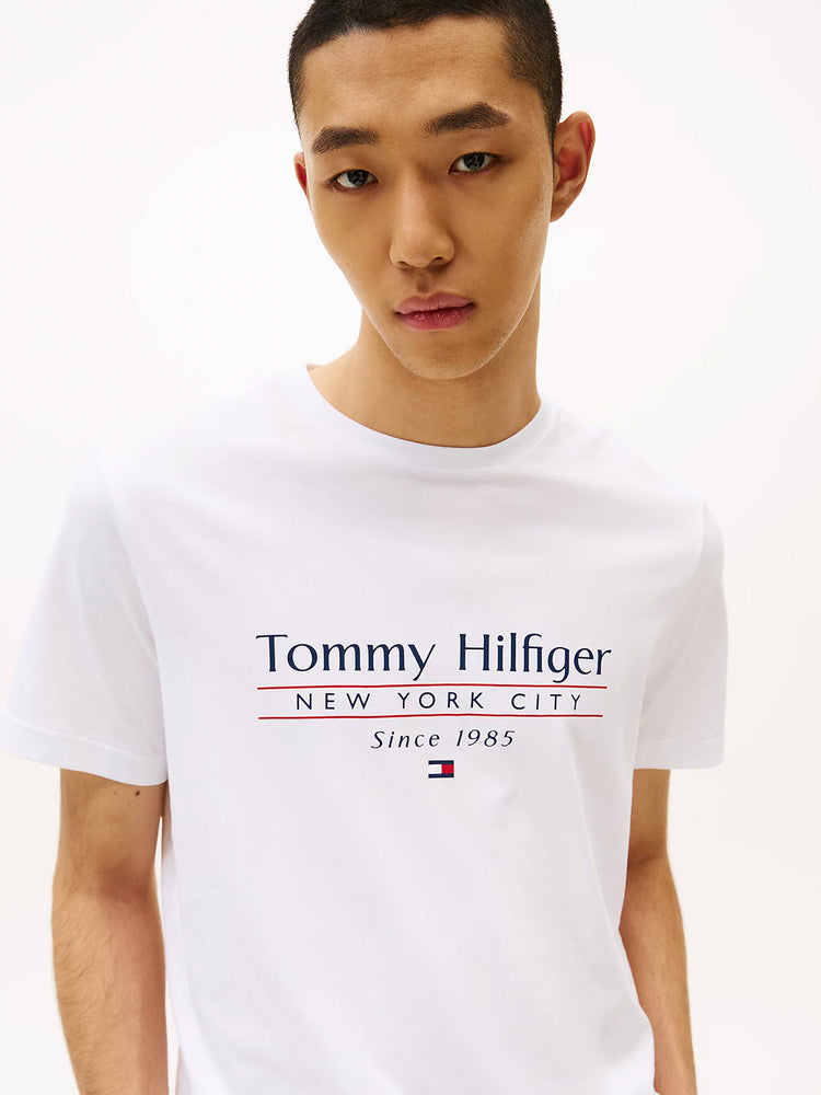 Ανδρικό t-shirt HILFIGER CENTER STACK TEE MW0MW38621YBR | MW0MW38621YBR