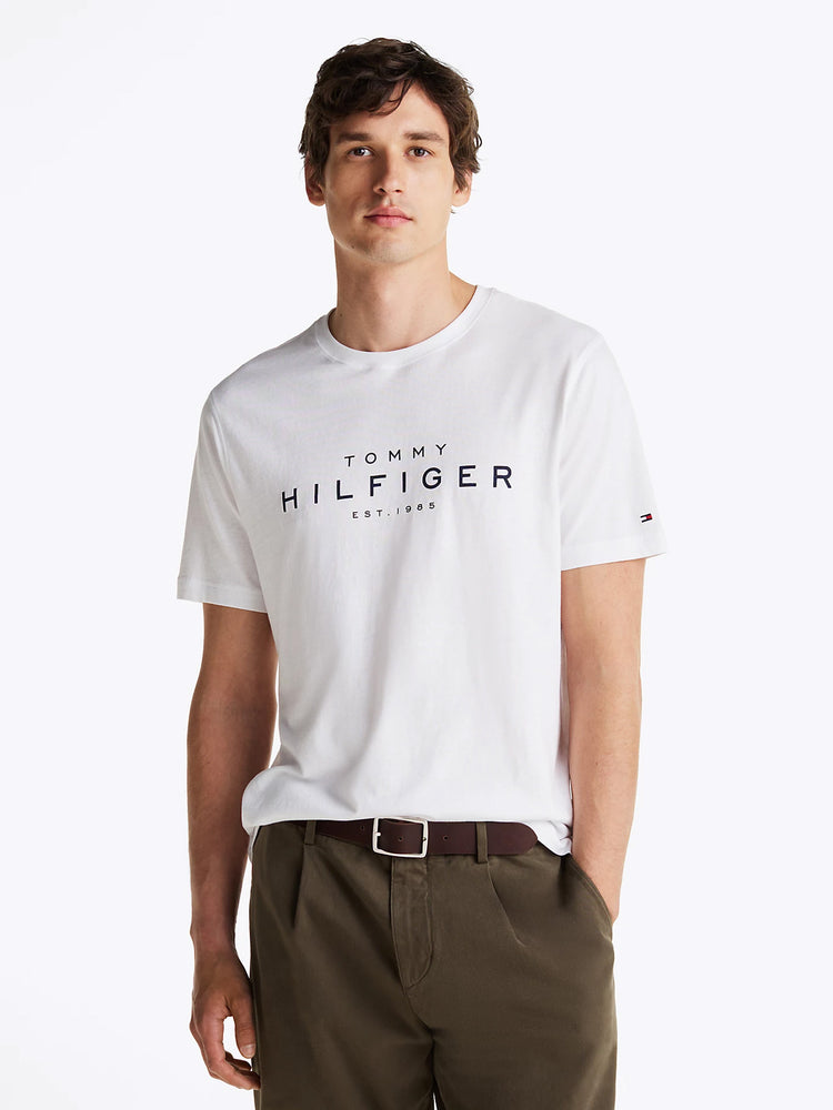 Ανδρικό t-shirt BIG RWB HILFIGER TEE MW0MW37448YBR | MW0MW37448YBR