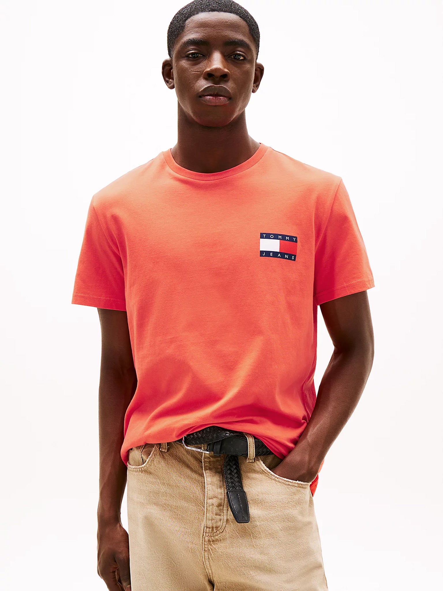 Ανδρικό t-shirt TJM SLIM ESSENTIAL FLAG TEE DM0DM20740SN6 | DM0DM20740SN6