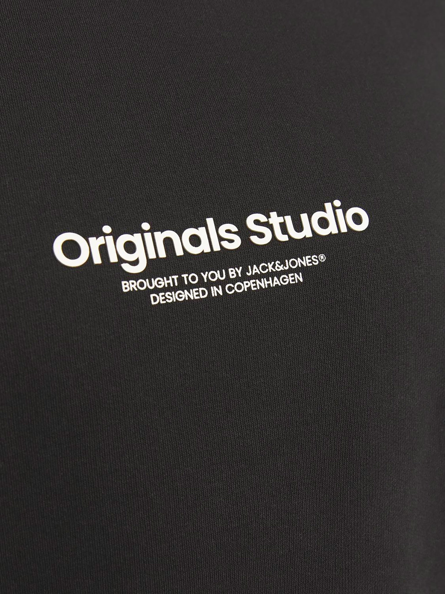 Ανδρική μπλούζα φούτερ Plus size JORVESTERBRO SWEAT CREW NECK 12248198 | 12248198