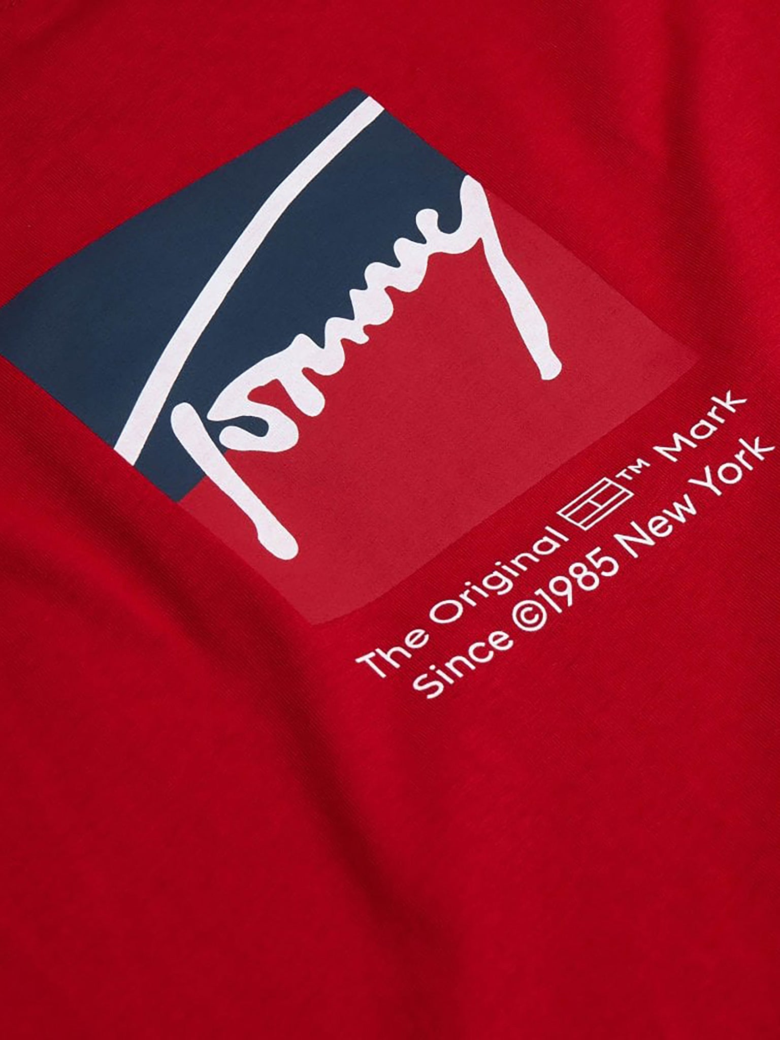 Ανδρικό t-shirt TJM REG RWB DNA TEE DM0DM21940XLE | DM0DM21940XLE