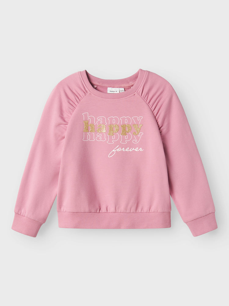 Παιδική μπλούζα φούτερ NMFNAIOMI NREG SWEAT BRU BOX 13233837 | 13233837