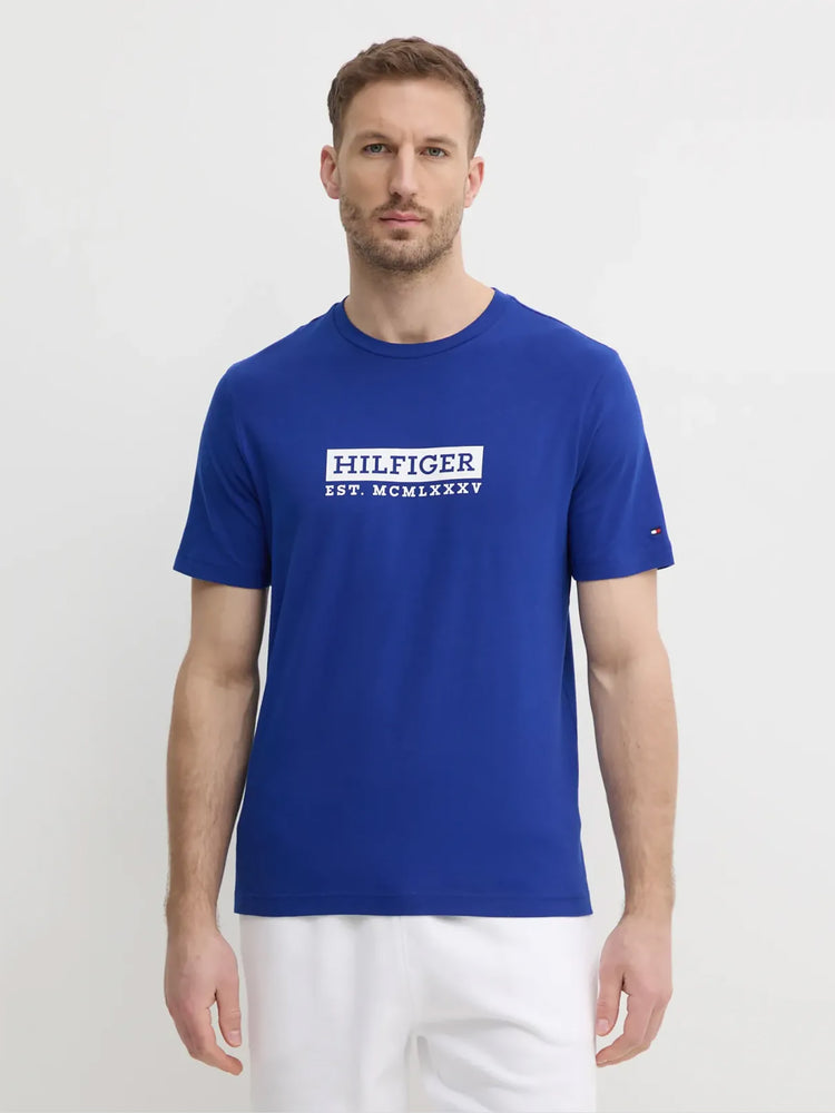 Ανδρικό t-shirt COLOUR TO COLOUR GRAPHIC TEE MW0MW39149D03 | MW0MW39149D03