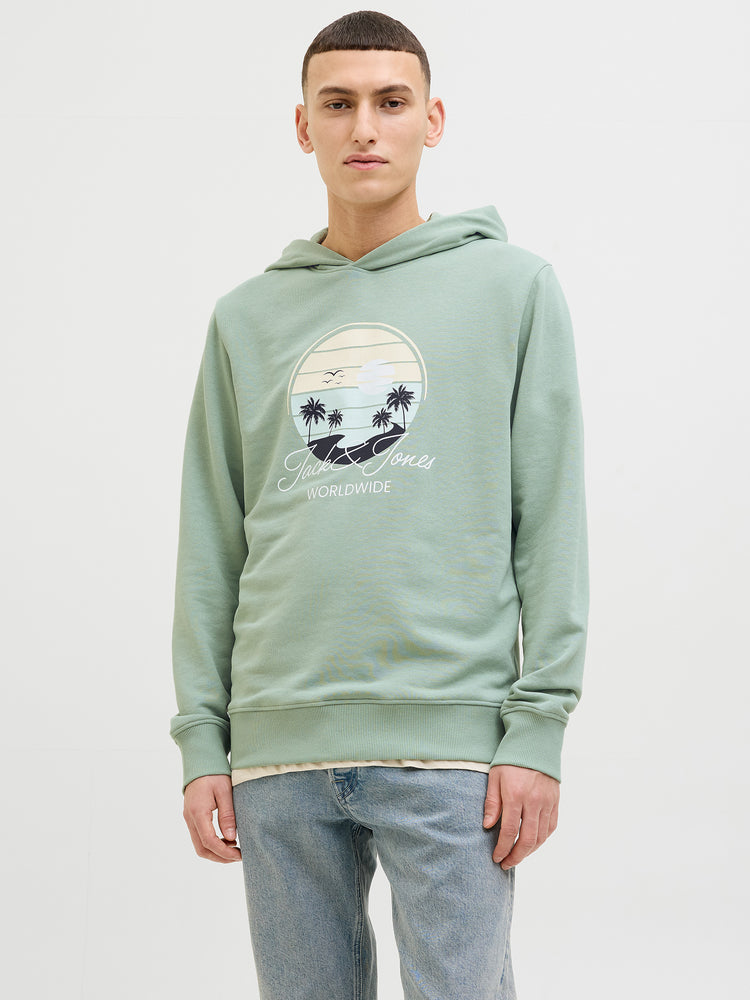 Ανδρική μπλούζα φούτερ JJPALM SWEAT HOOD 12269420 | 12269420