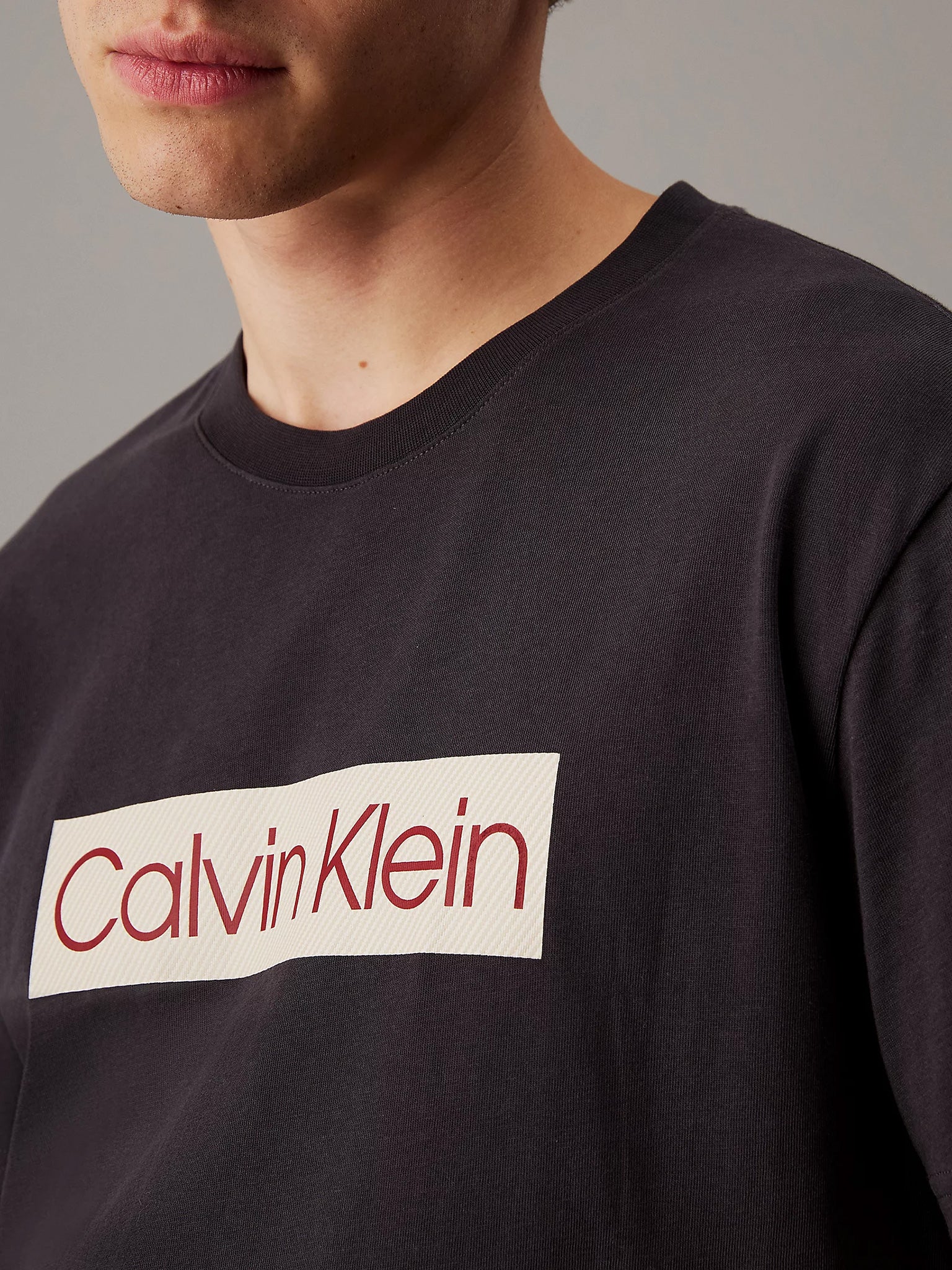 Ανδρικό t-shirt CALVIN KLEIN LABEL PRINT TEE J30J327472BA1 | J30J327472BA1