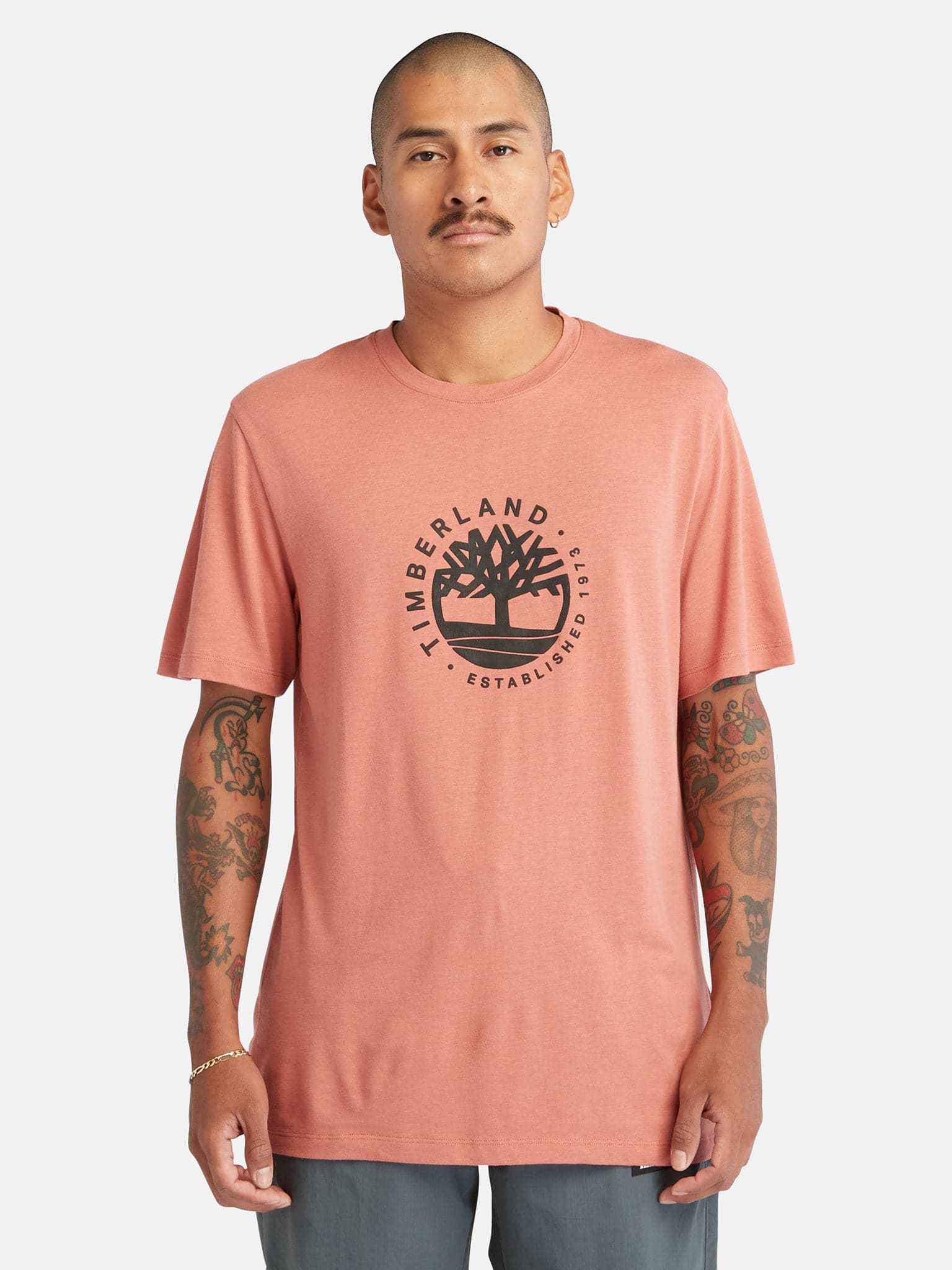 Ανδρικό t-shirt SS Logo Graphic Tee TB0A65XSDJ1 | TB0A65XSDJ1