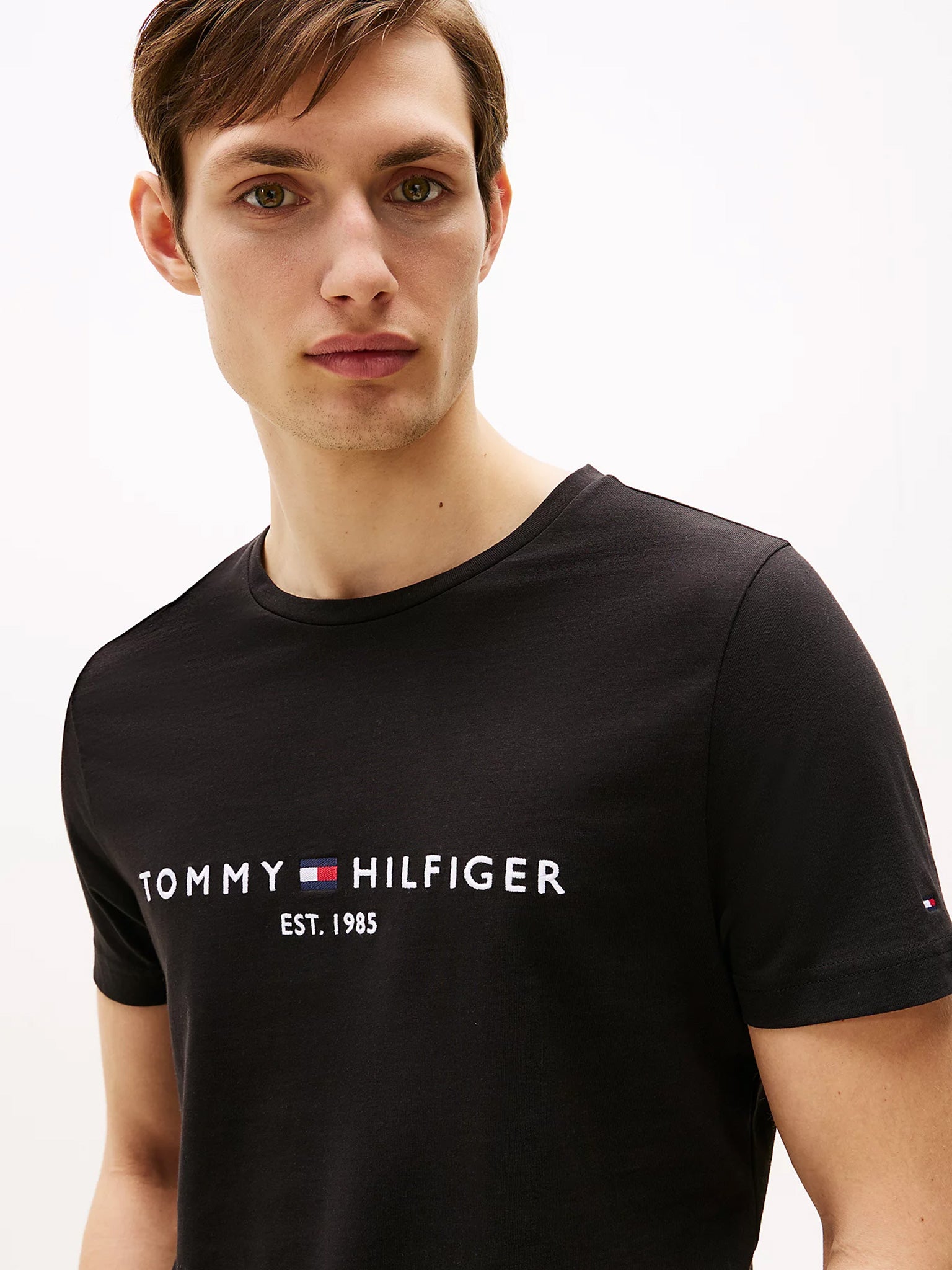 Ανδρικό t-shirt TOMMY LOGO TEE MW0MW11465BAS | MW0MW11465BAS