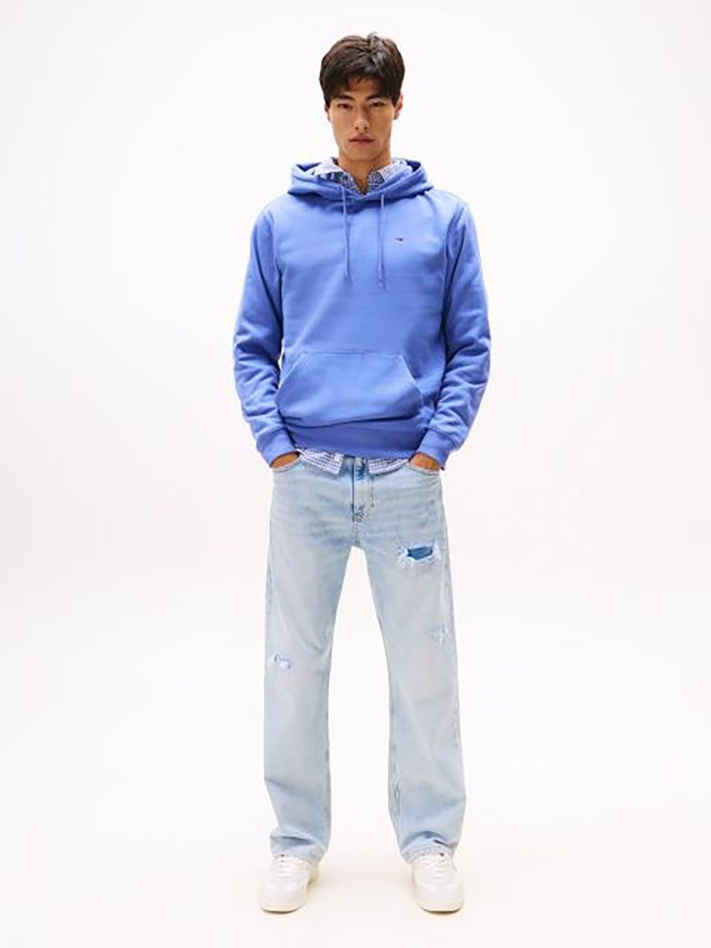 Ανδρική μπλούζα φούτερ TJM REG S FLAG HOODIE DM0DM20742C6D | DM0DM20742C6D