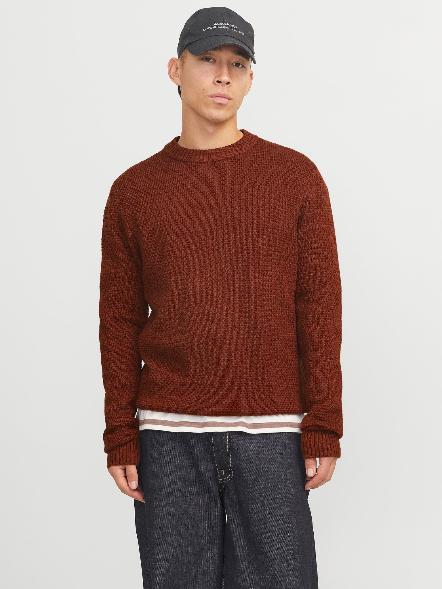 Ανδρική μπλούζα πλεκτή JOREATON KNIT CREW NECK 12266391 | 12266391