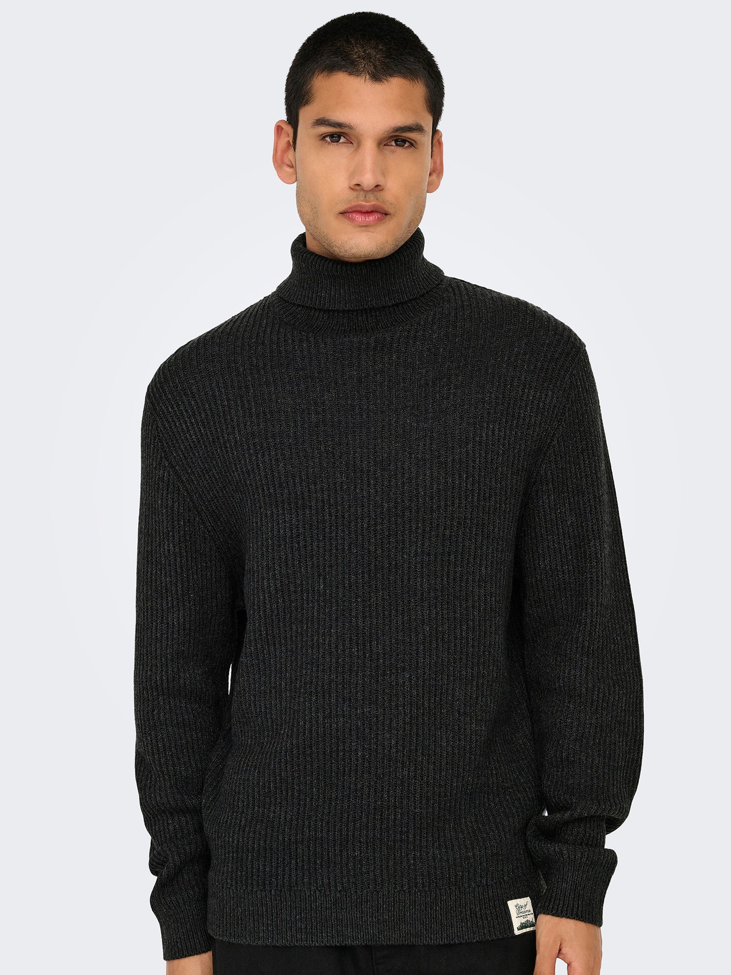 Ανδρική μπλούζα ζιβάγκο ONSFERGAL LIFE REG 7 RIB ROLL KNIT 22030312 | 22030312