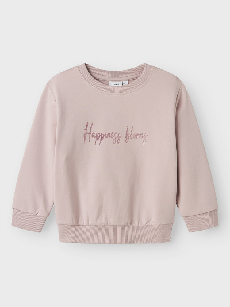 Παιδική μπλούζα NMFLAISE NREG SWEAT BRU 13245323 | 13245323