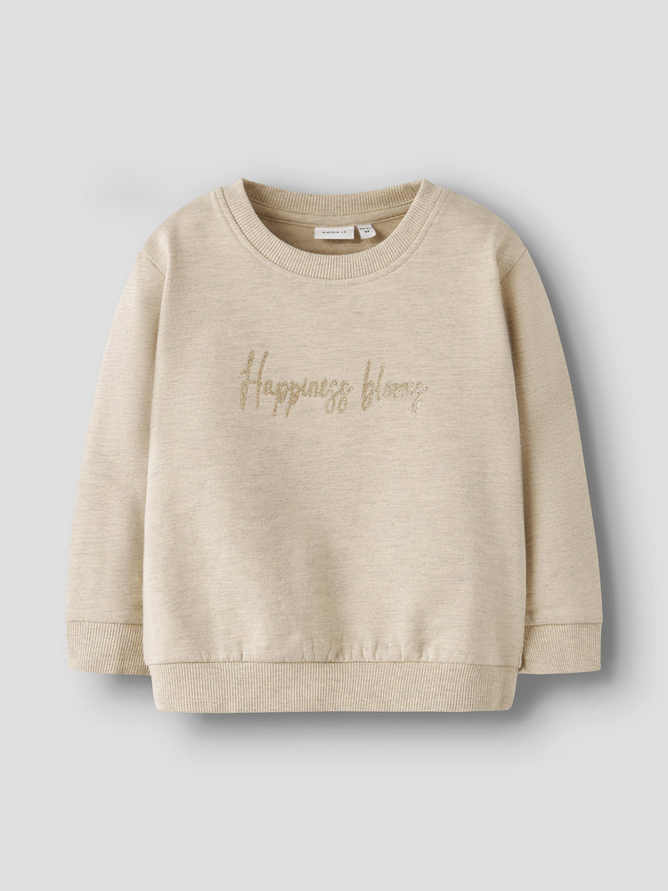 Παιδική μπλούζα μελανζέ NMFLAISE NREG SWEAT BRU 13245323 | 13245323