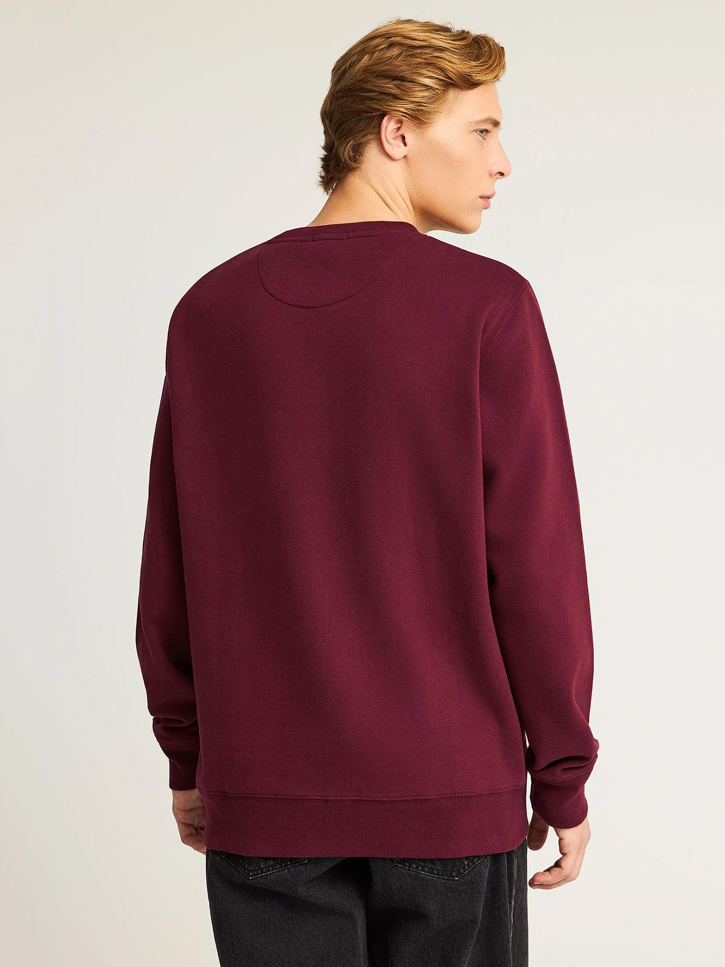 Ανδρική μπλούζα φούτερ FBM012-004-06 | FBM012-004-06