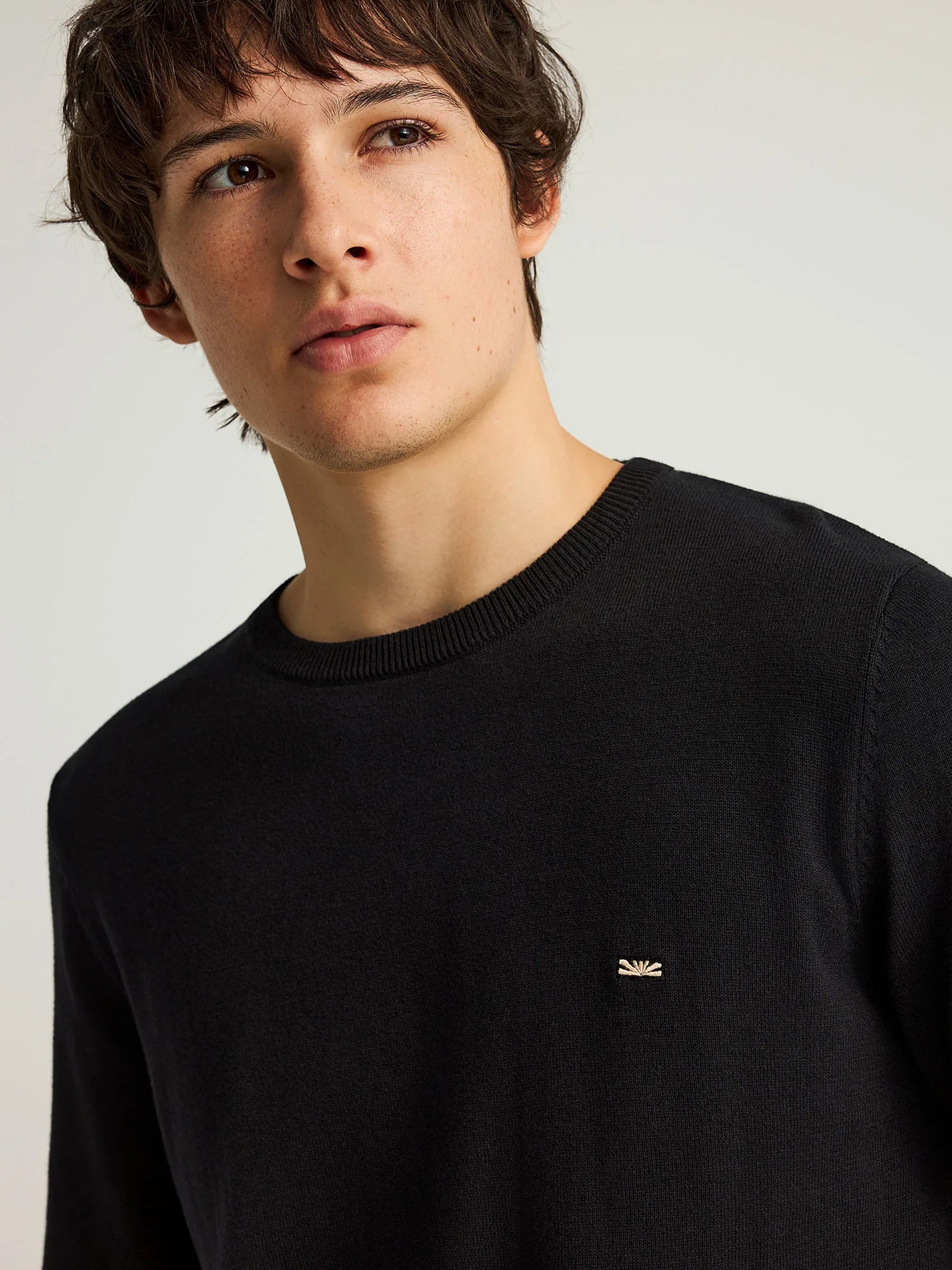 Ανδρική μπλούζα πλεκτή FBM012-001-09 | FBM012-001-09