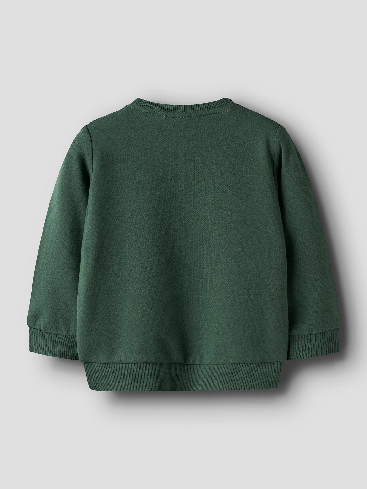 Βρεφική μπλούζα φούτερ pear NBMVONNE LS SWEAT BOX 13226067 | 13226067