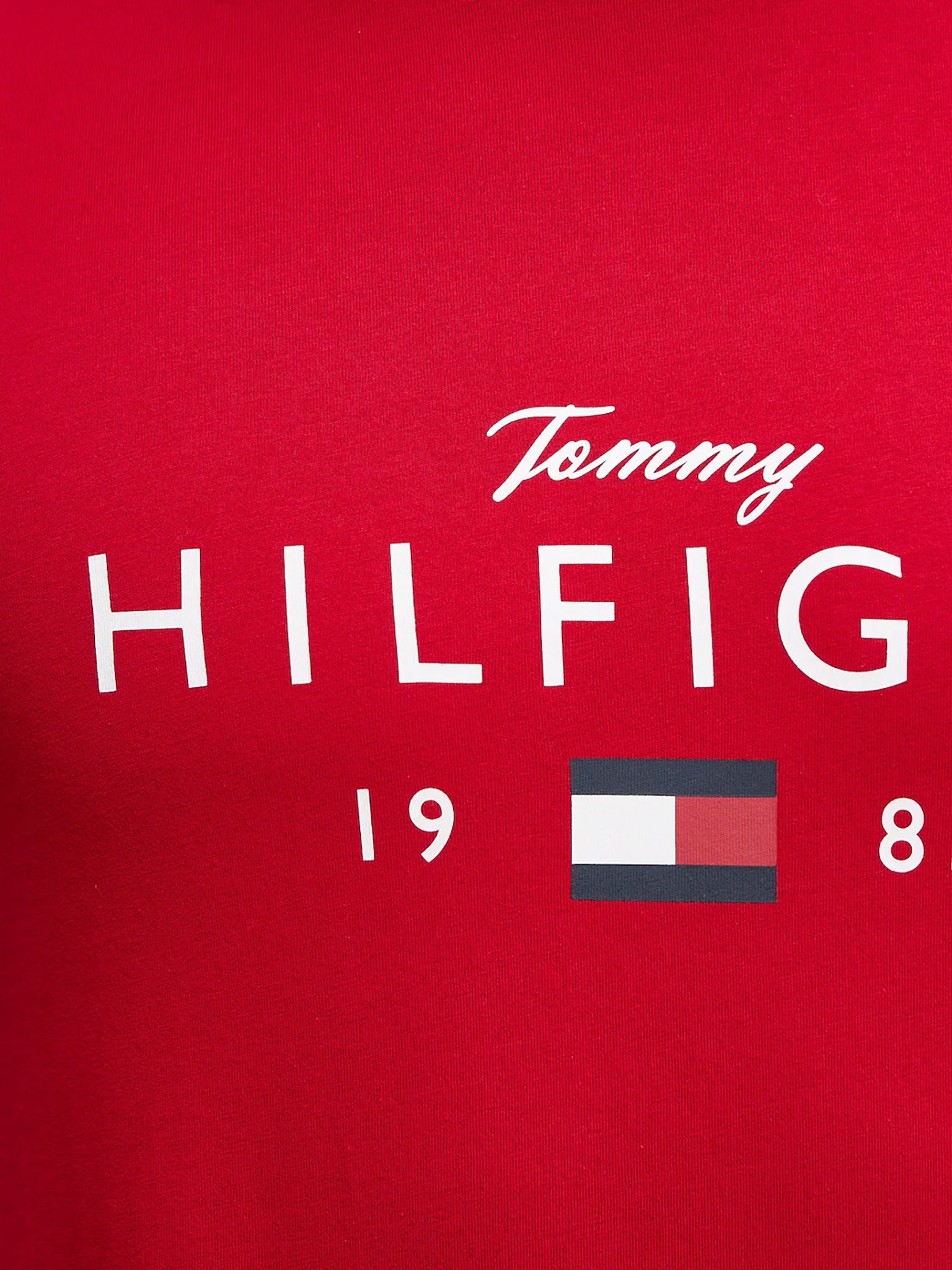 Ανδρικό t-shirt BRAND LOVE BIG HILFIGER TEE MW0MW41455XLD | MW0MW41455XLD