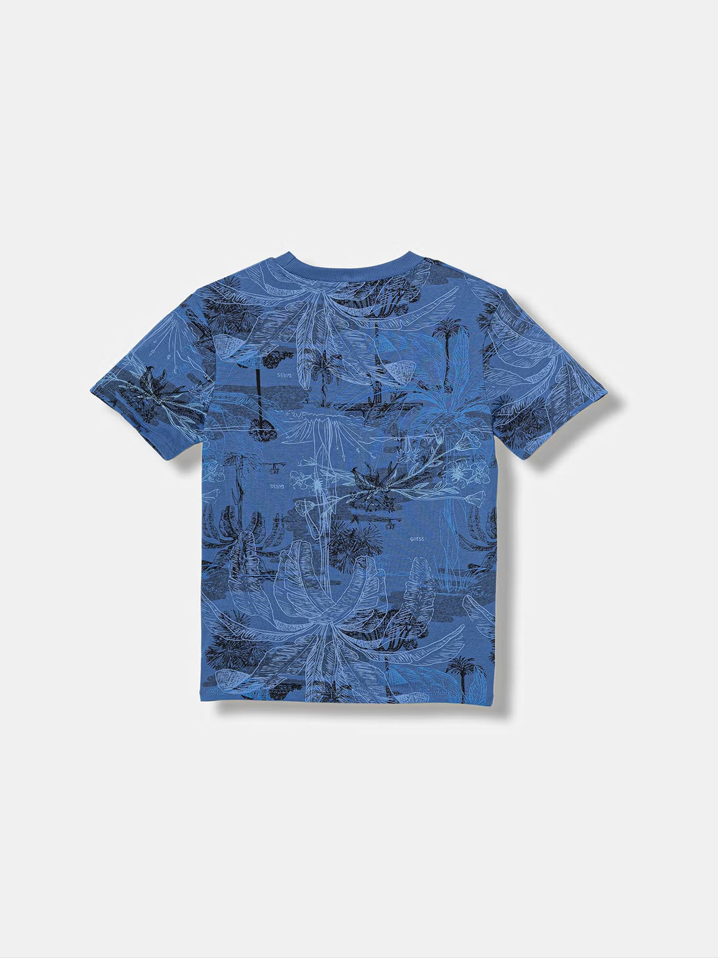 10260501-153_2.jpg