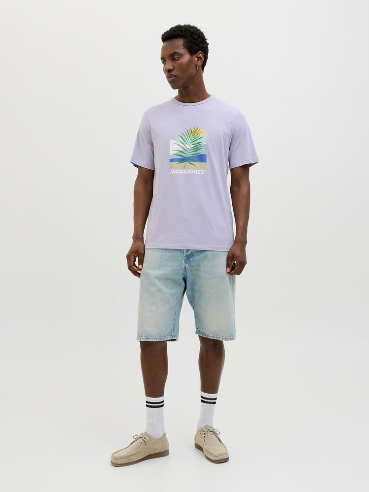 Ανδρικό t-shirt JJBARBADOS TEE SS CREW NECK 12269416 | 12269416