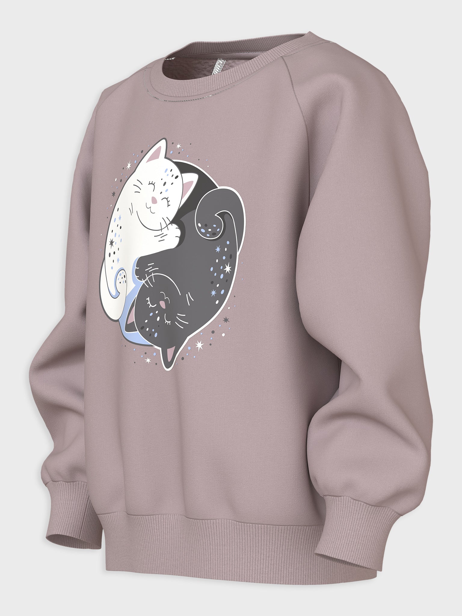 Παιδική μπλούζα φούτερ NMFVENUS LS NREG SWEAT 13234422 | 13234422