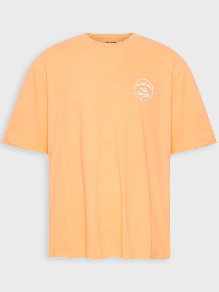 Ανδρικό t-shirt 20716335 | 20716335