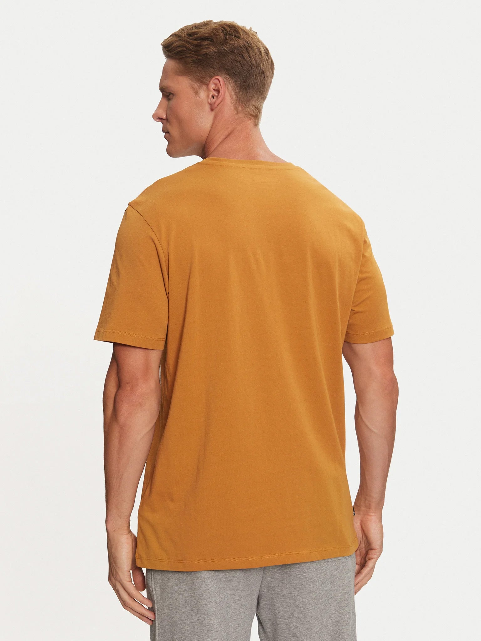 Ανδρικό t-shirt TB0A2C2RP47 | TB0A2C2RP47