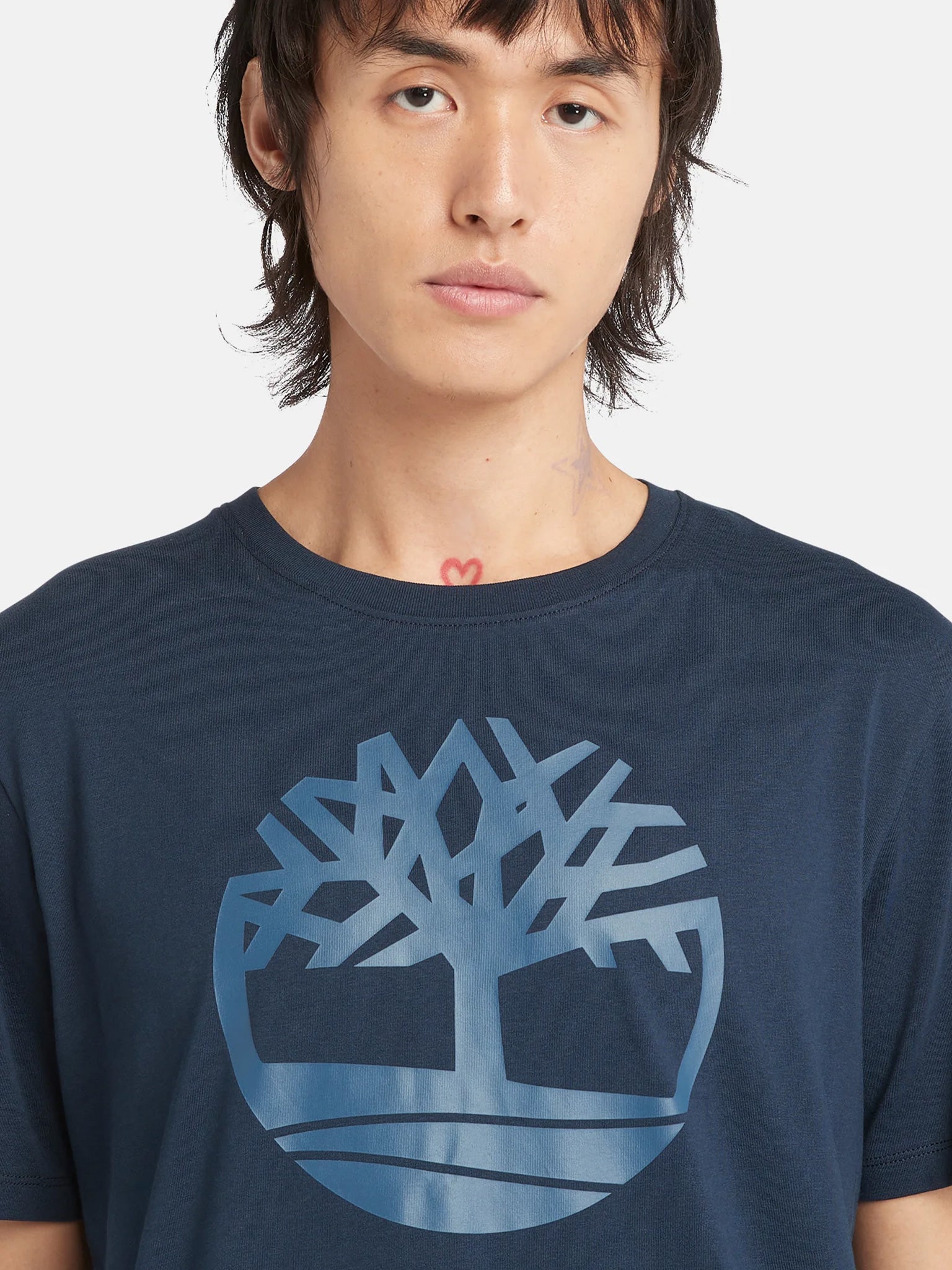 Ανδρικό t-shirt | TB0A2C2REYO