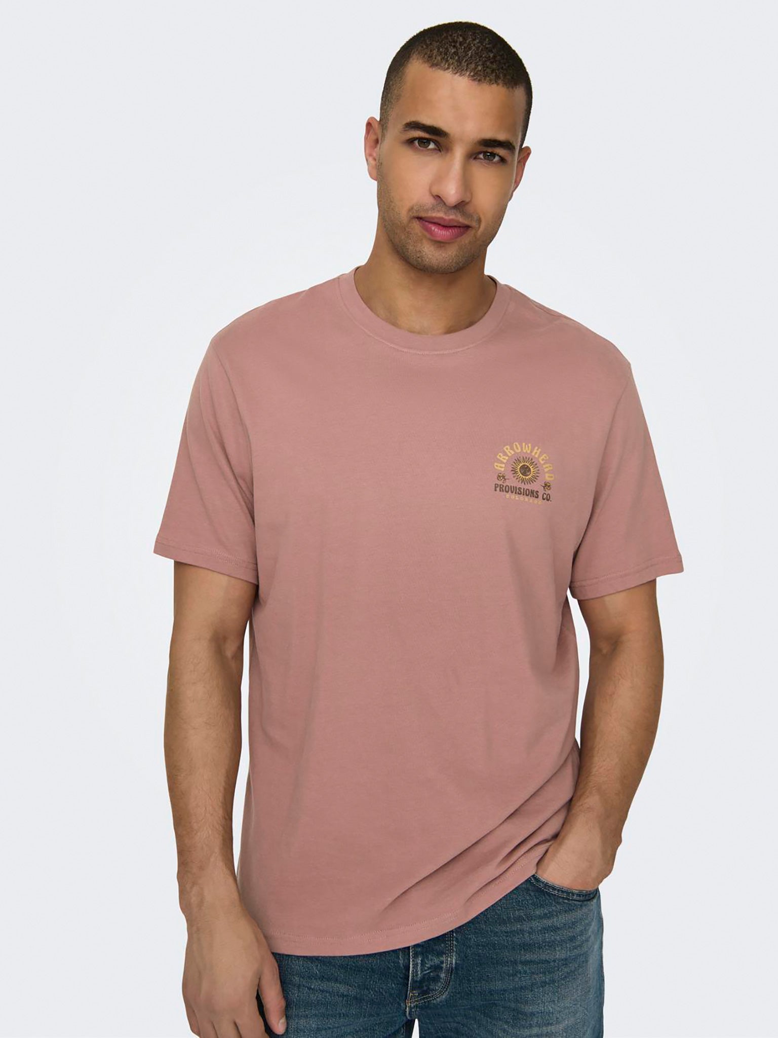 Ανδρικό t-shirt ONSMANUEL LIFE REG SS DESERT TEE 22029483 | 22029483