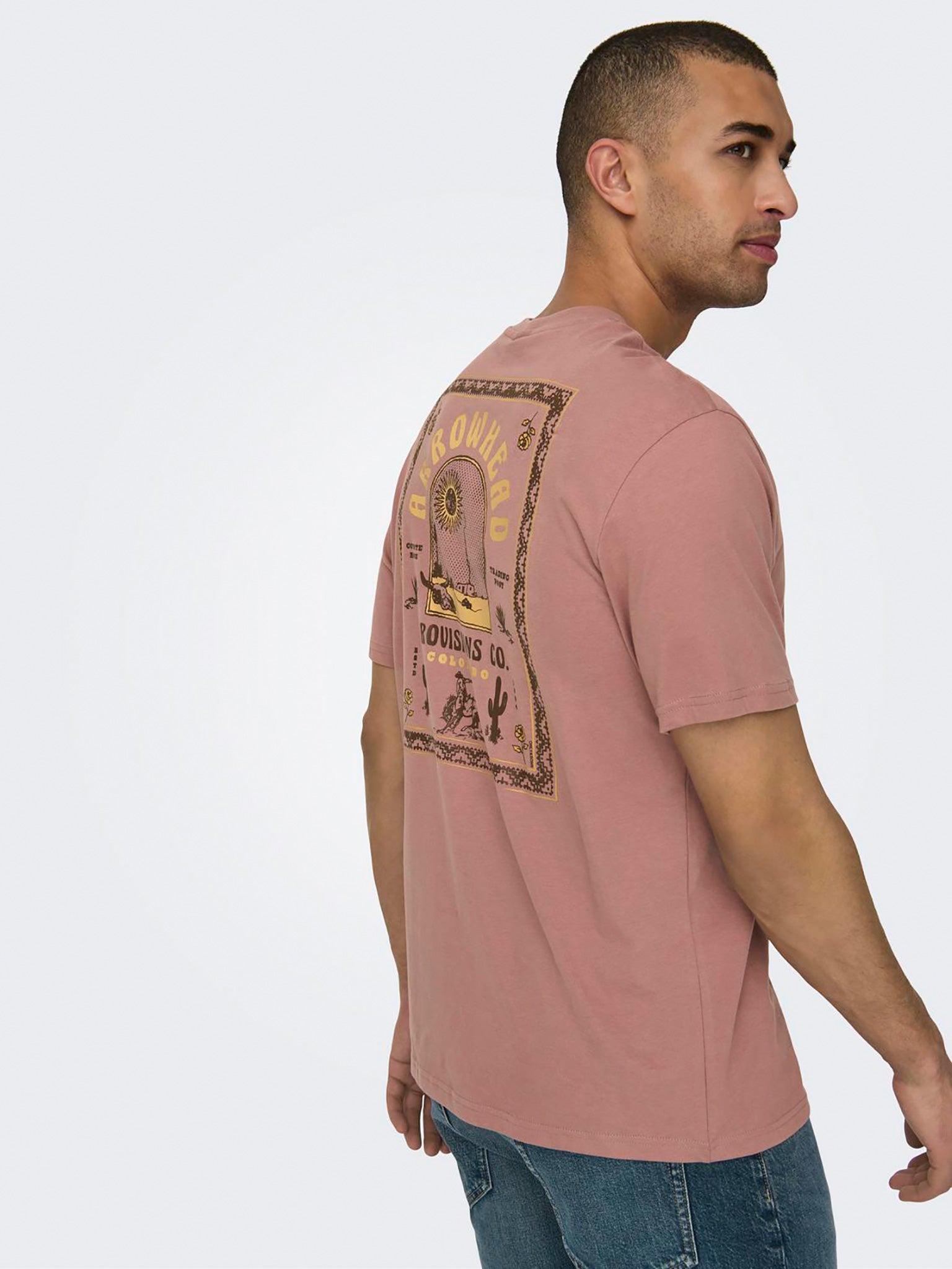 Ανδρικό t-shirt ONSMANUEL LIFE REG SS DESERT TEE 22029483 | 22029483