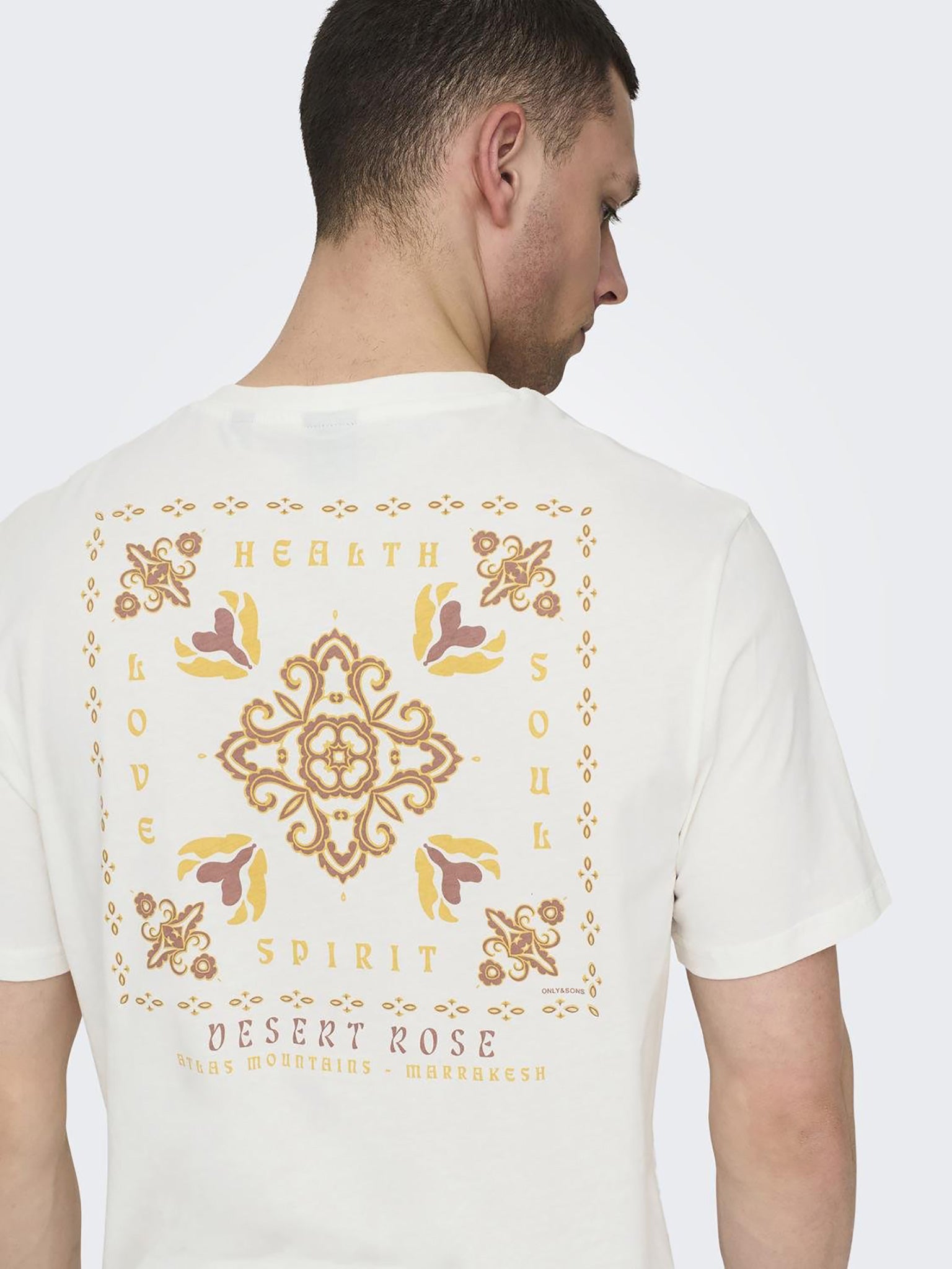 Ανδρικό t-shirt ONSMANUEL LIFE REG SS DESERT TEE 22029483 | 22029483