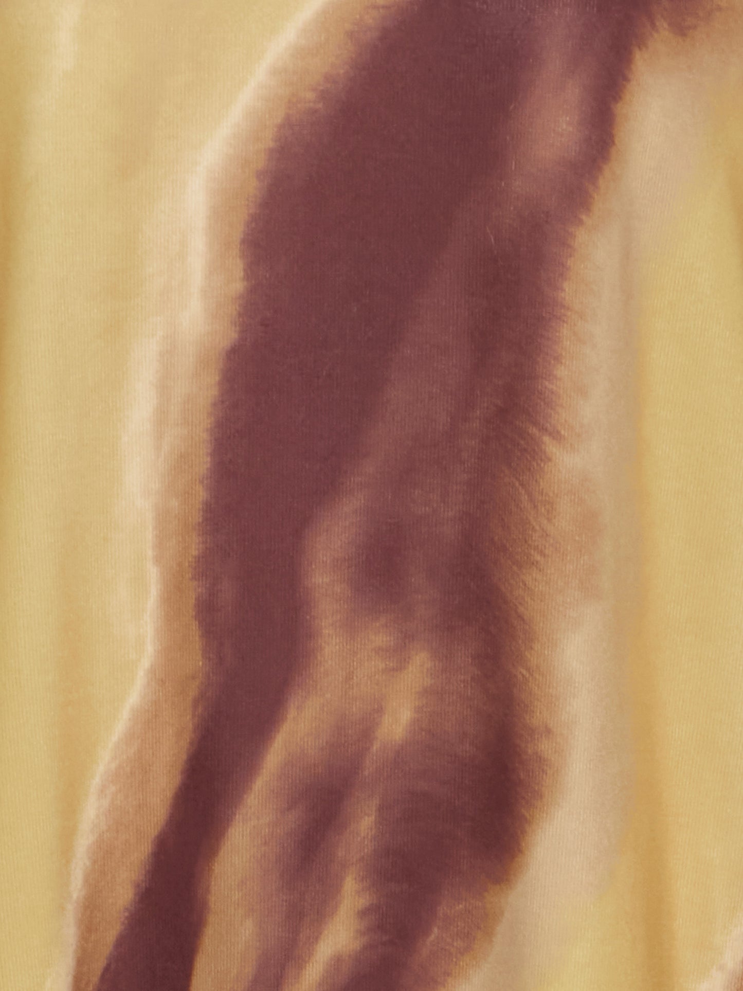 10256553-386_3.jpg