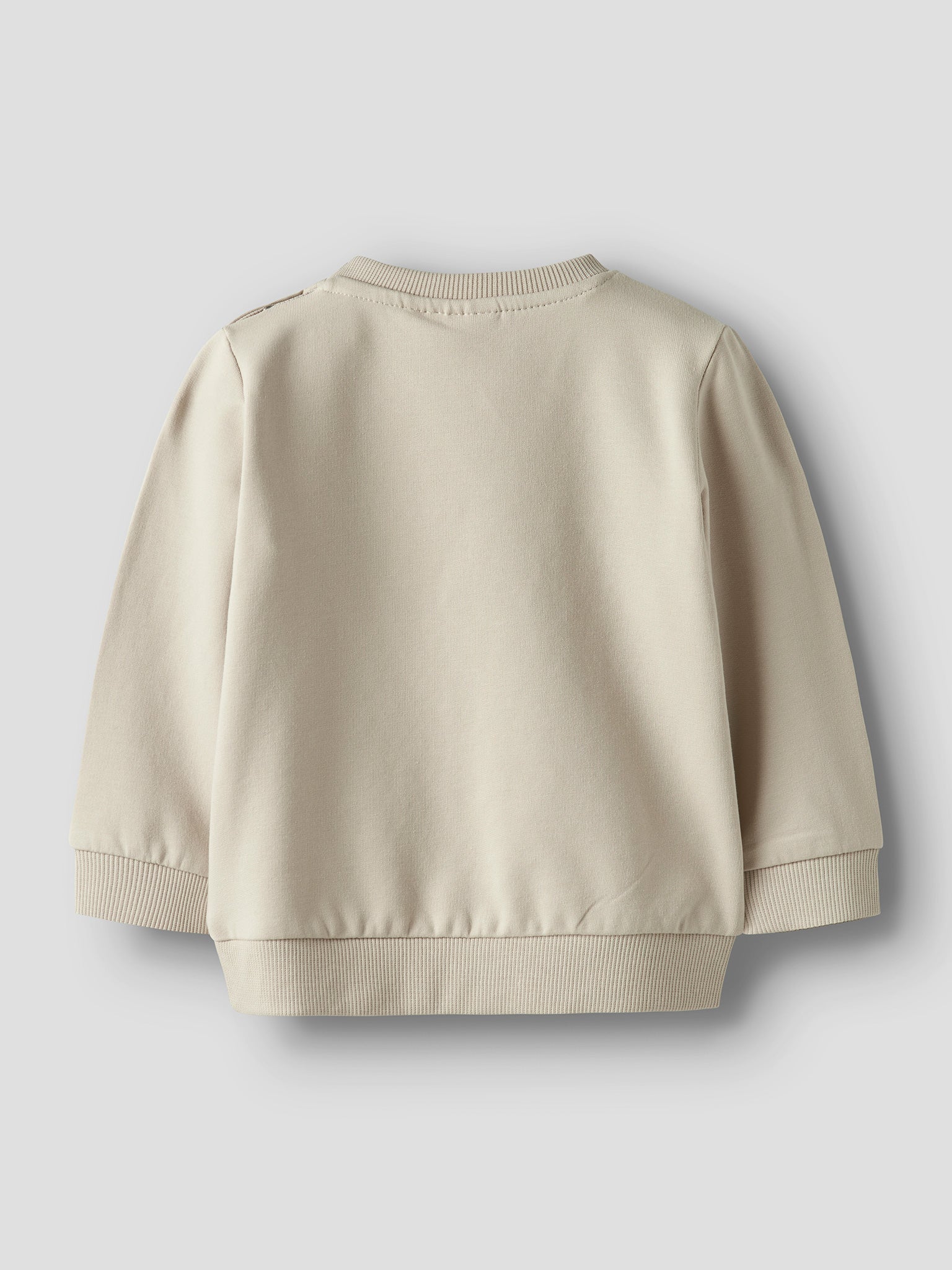Βρεφική μπλούζα φούτερ dino NBMVONNE LS SWEAT BOX 13226067 | 13226067