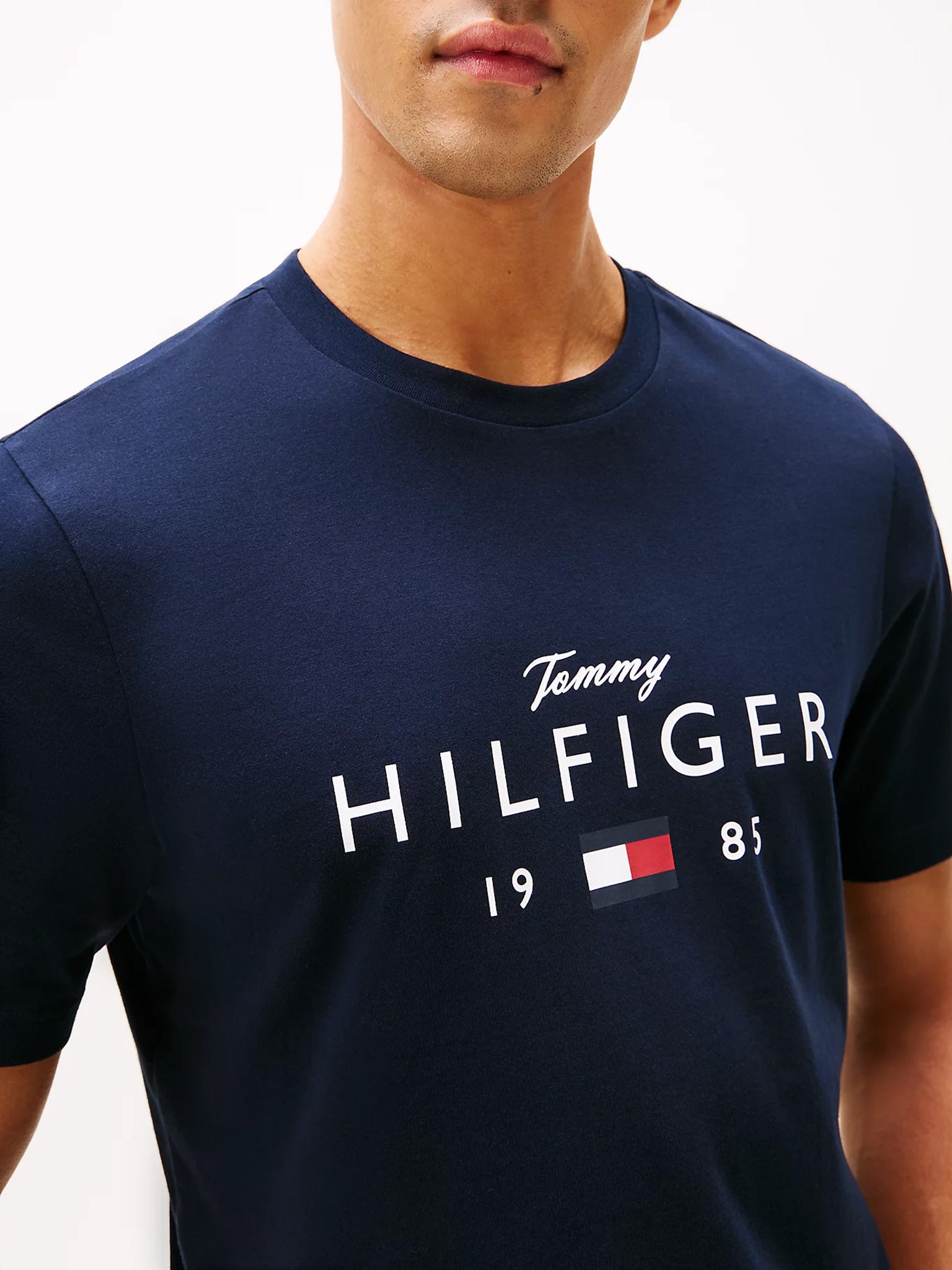 Ανδρικό t-shirt BRAND LOVE BIG HILFIGER TEE MW0MW41455DW5 | MW0MW41455DW5