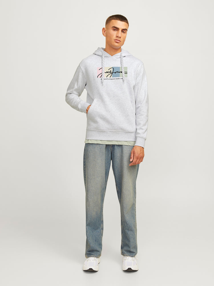 Ανδρική μπλούζα φούτερ JORPORTLAND BLOCK SWEAT HOOD LN 12262421 | 12262421