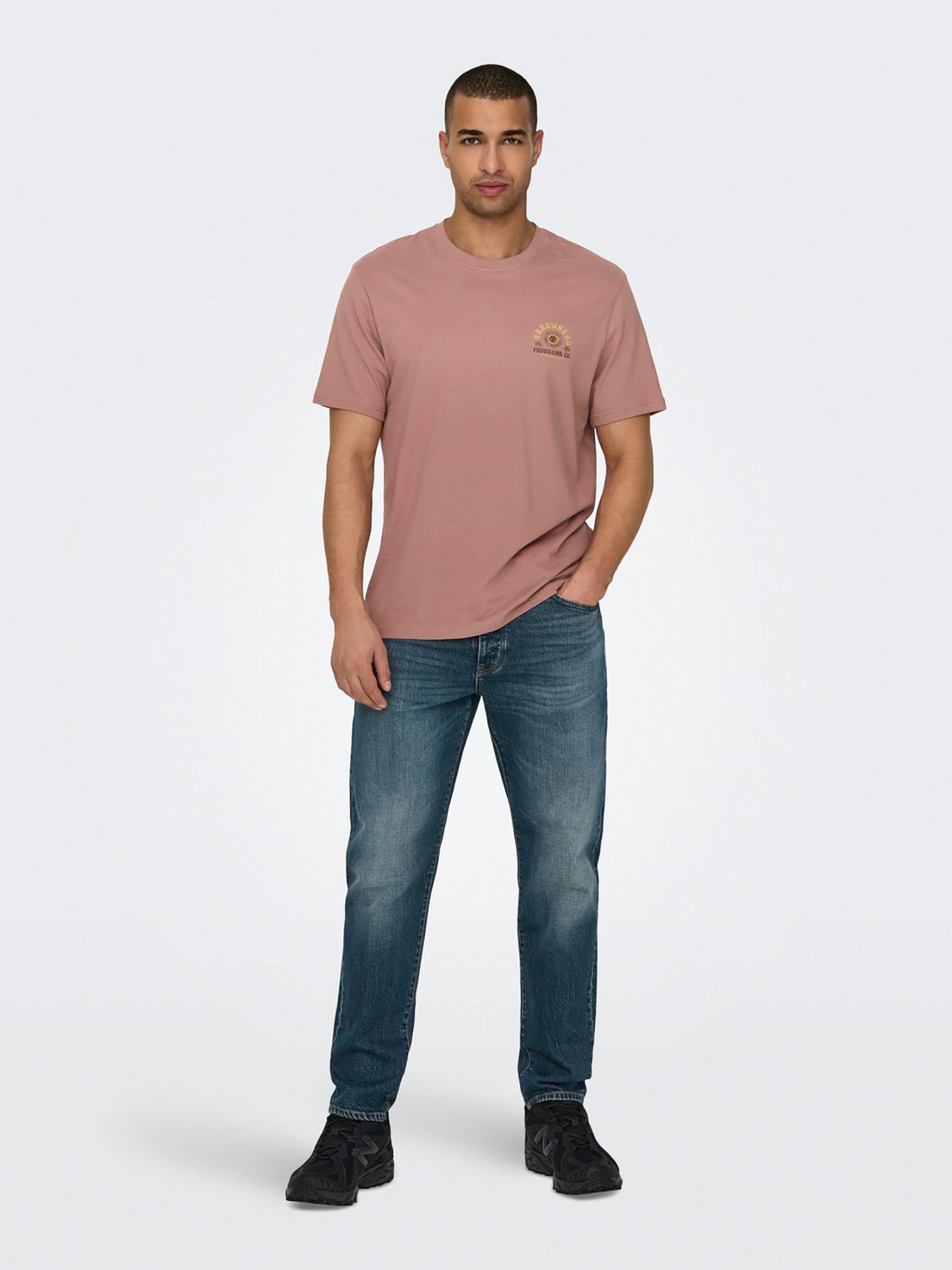 Ανδρικό t-shirt ONSMANUEL LIFE REG SS DESERT TEE 22029483 | 22029483