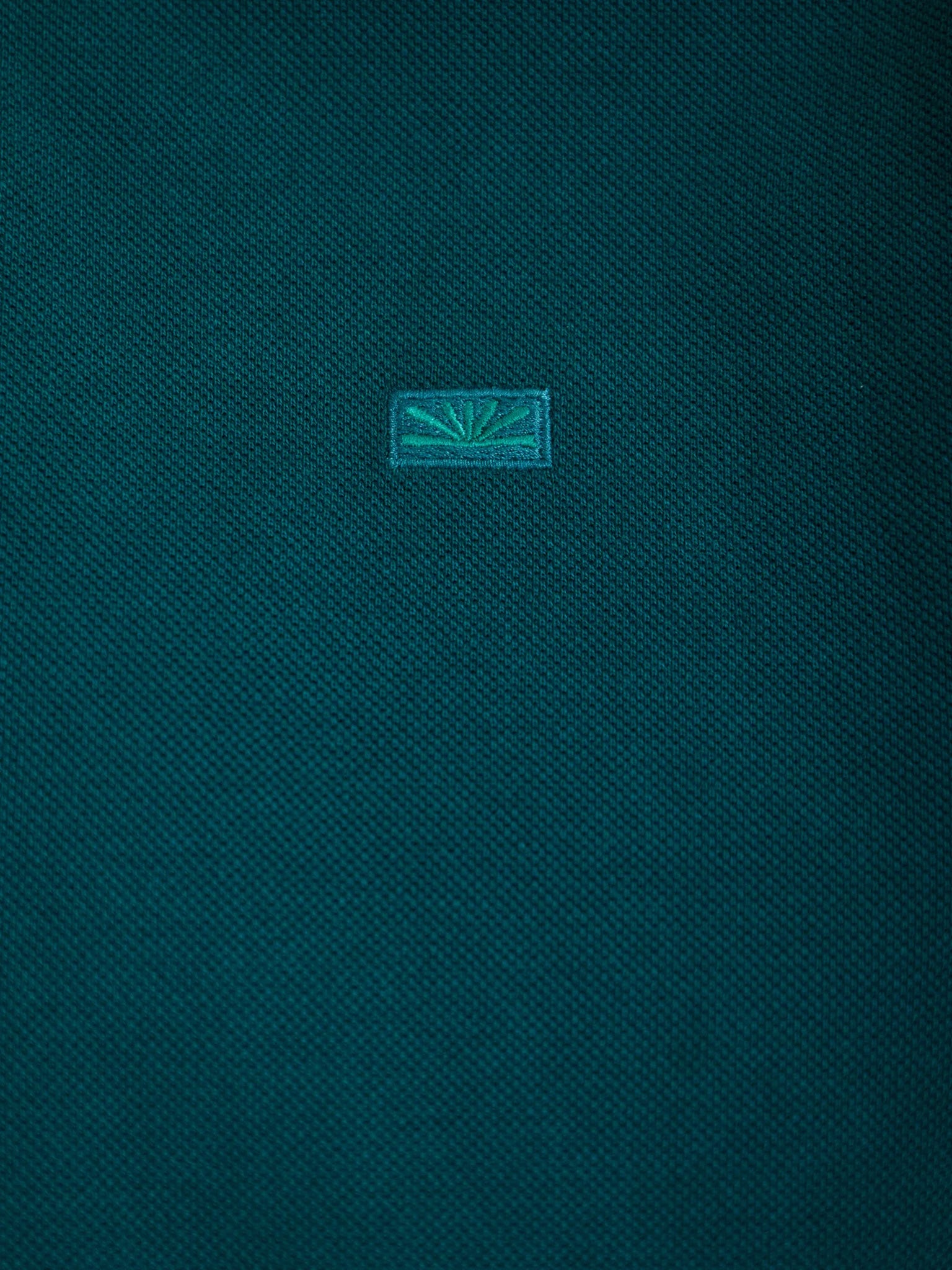 Ανδρικό polo FBM013-001-11 | FBM013-001-11