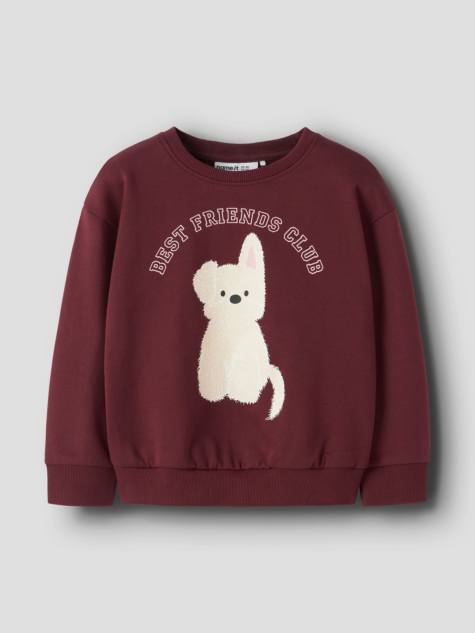 Παιδική μπλούζα φούτερ Best Friend NMFVILOUI LS RLX SWEAT 13234432 | 13234432