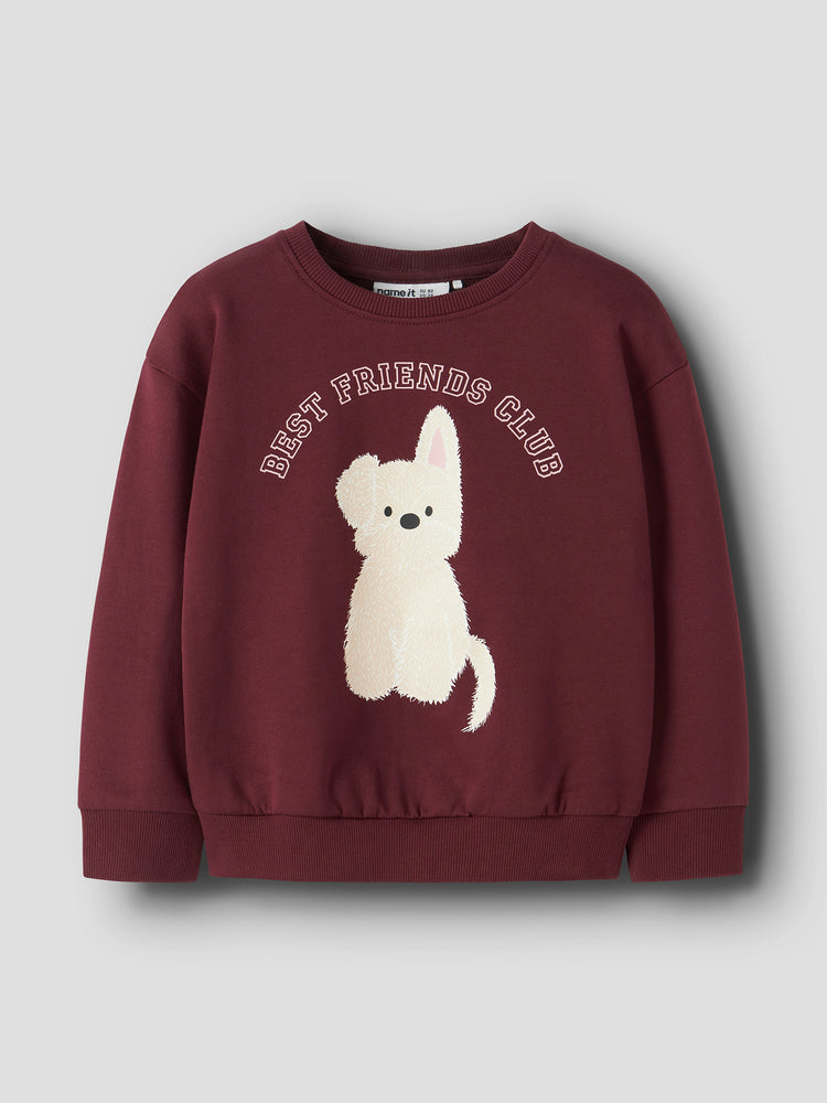 Παιδική μπλούζα φούτερ Best Friend NMFVILOUI LS RLX SWEAT 13234432 | 13234432