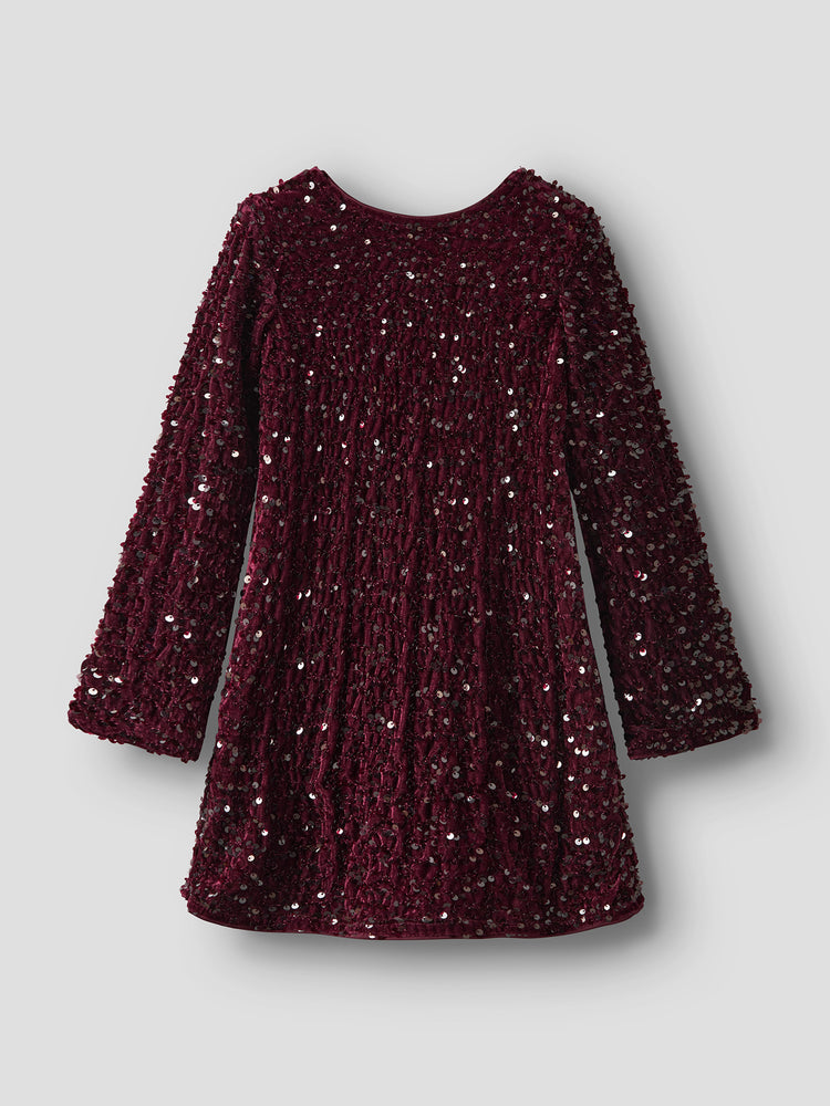 Εφηβικό φόρεμα άλφα γραμμή NKFRUSITTA LS DRESS 13238600 | 13238600
