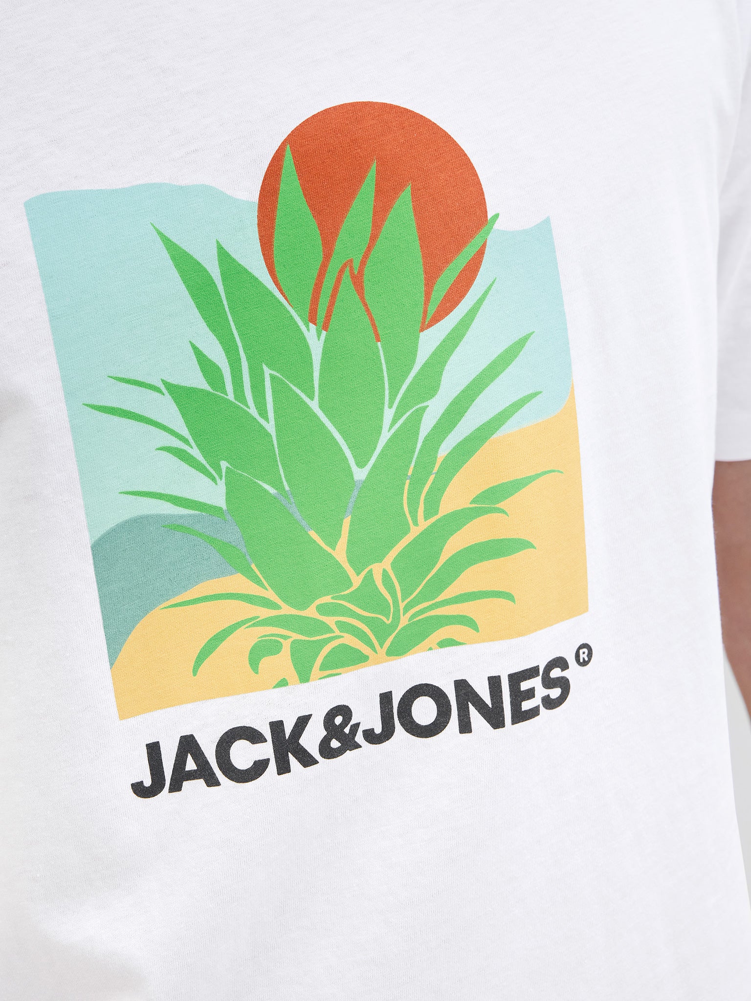 Ανδρικό t-shirt JJBARBADOS TEE SS CREW NECK 12269416 | 12269416