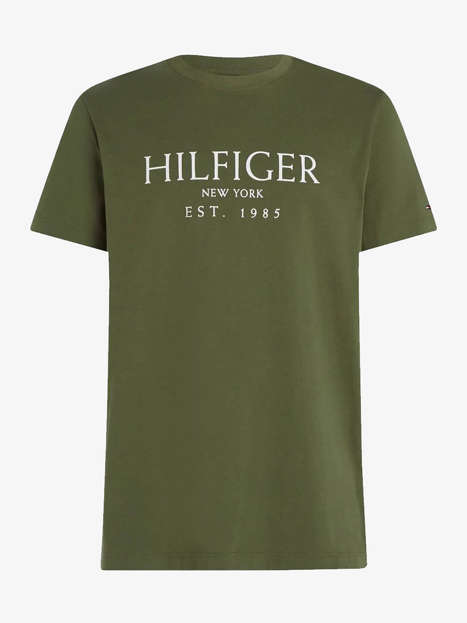 Ανδρικό t-shirt BIG HILFIGER TEE MW0MW36499PLI | MW0MW36499PLI