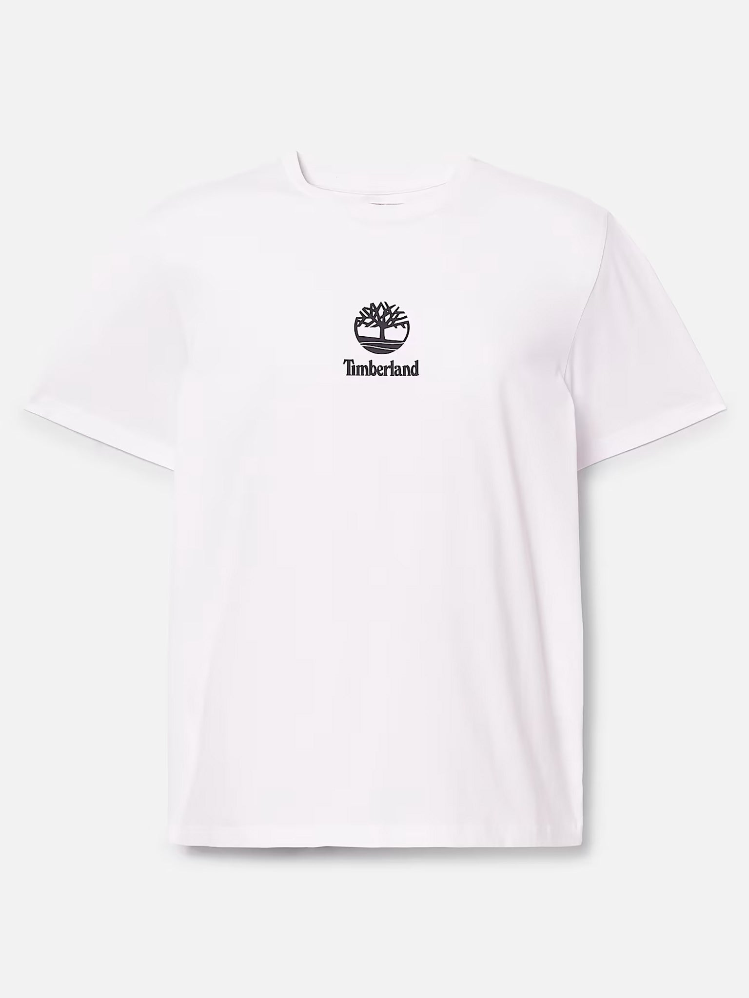 Ανδρικό t-shirt | TB0A6WWT100